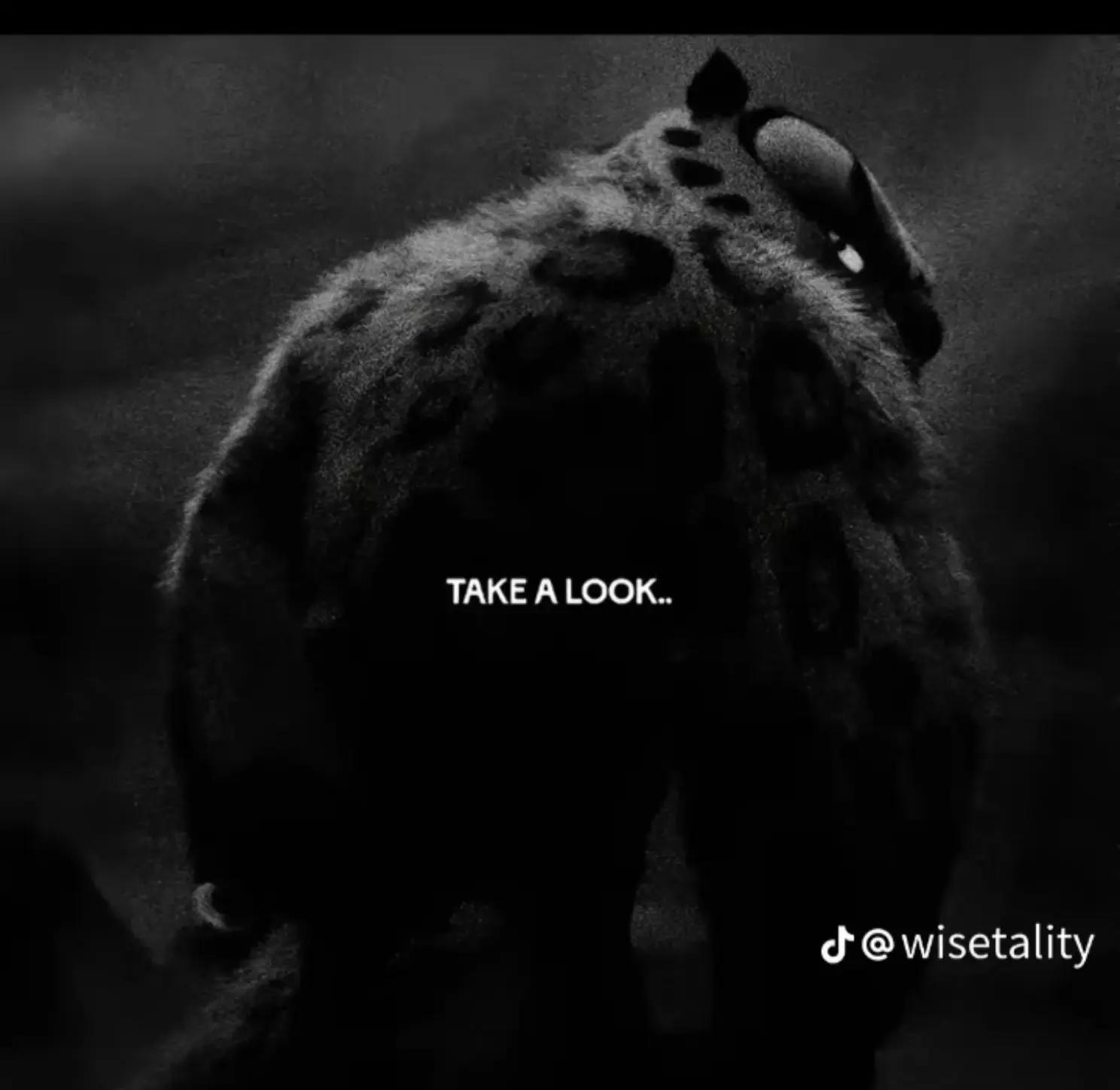@Zero