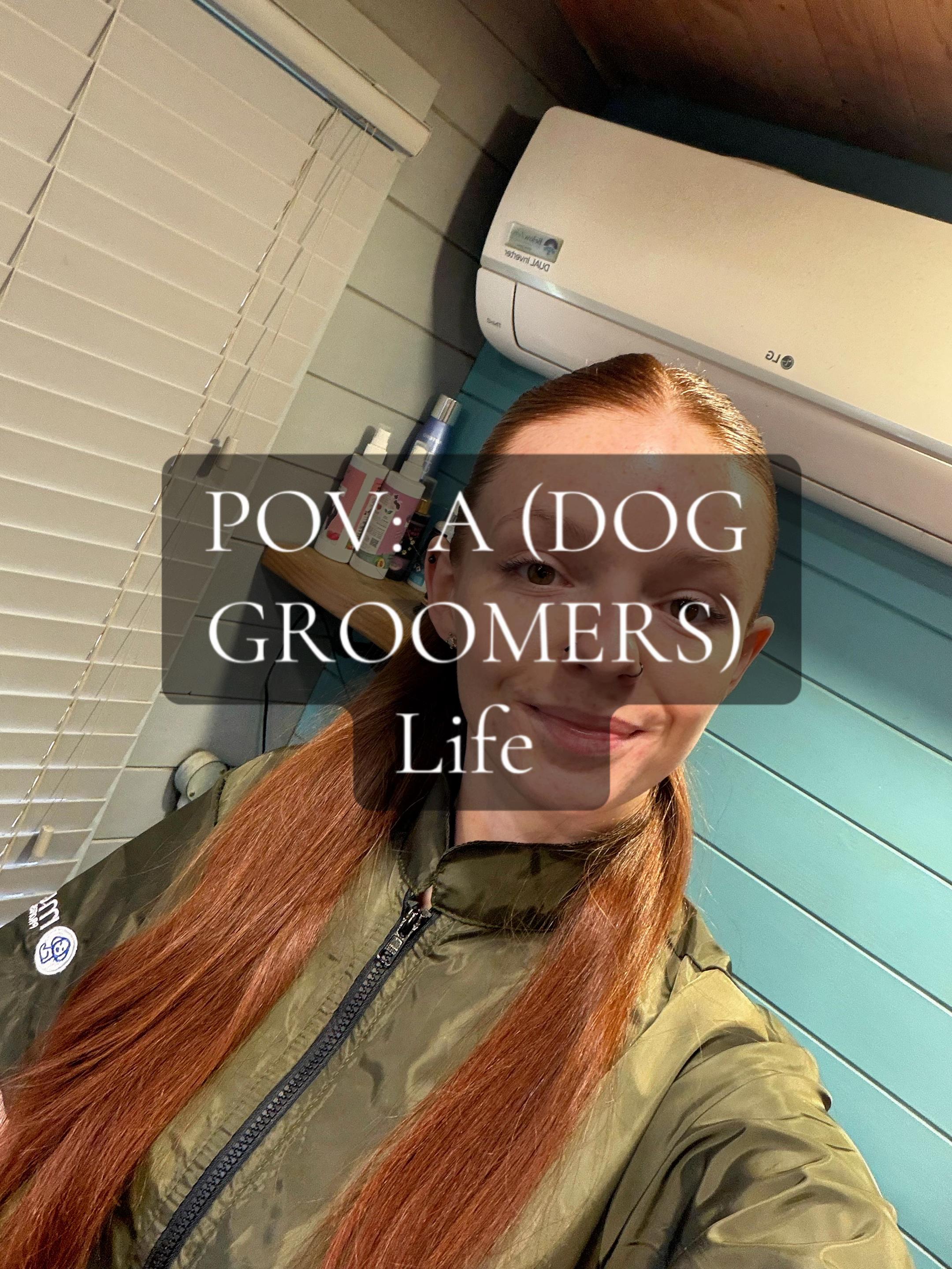 @hollyshoundsgrooming
