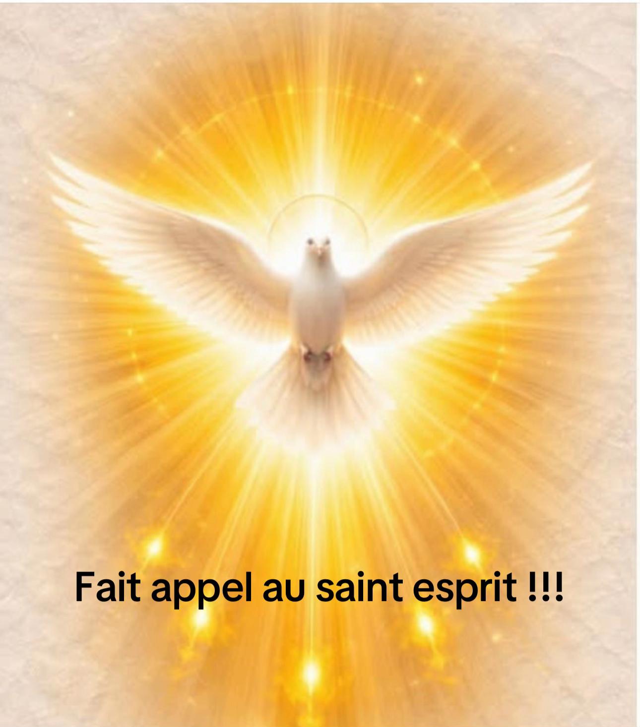@Francois BARRE Marylyn