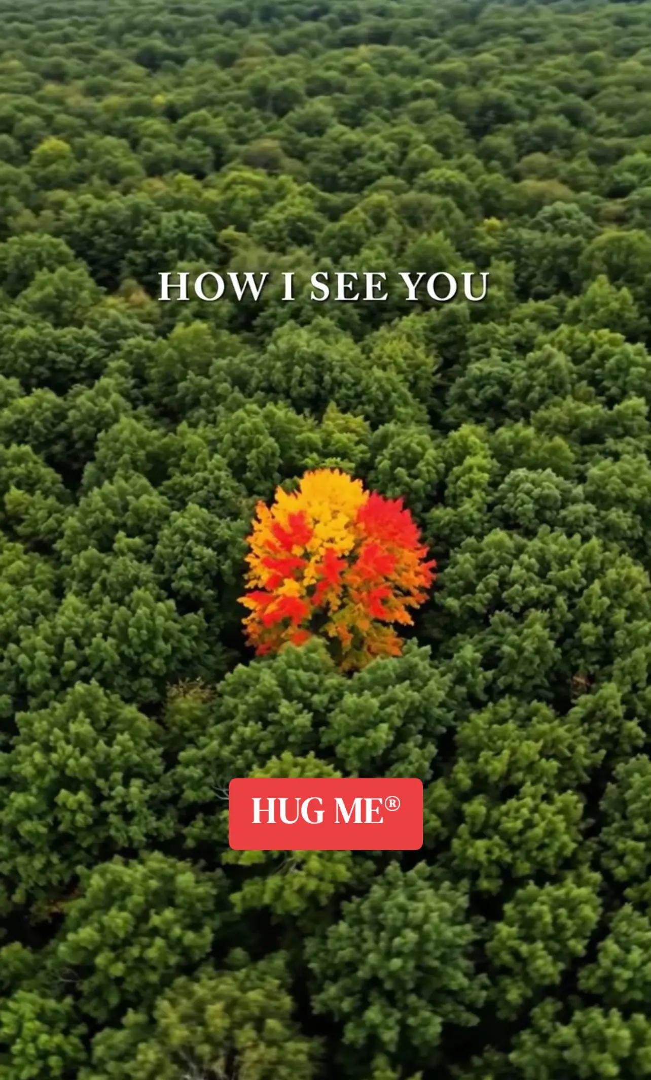 @HUG ME®