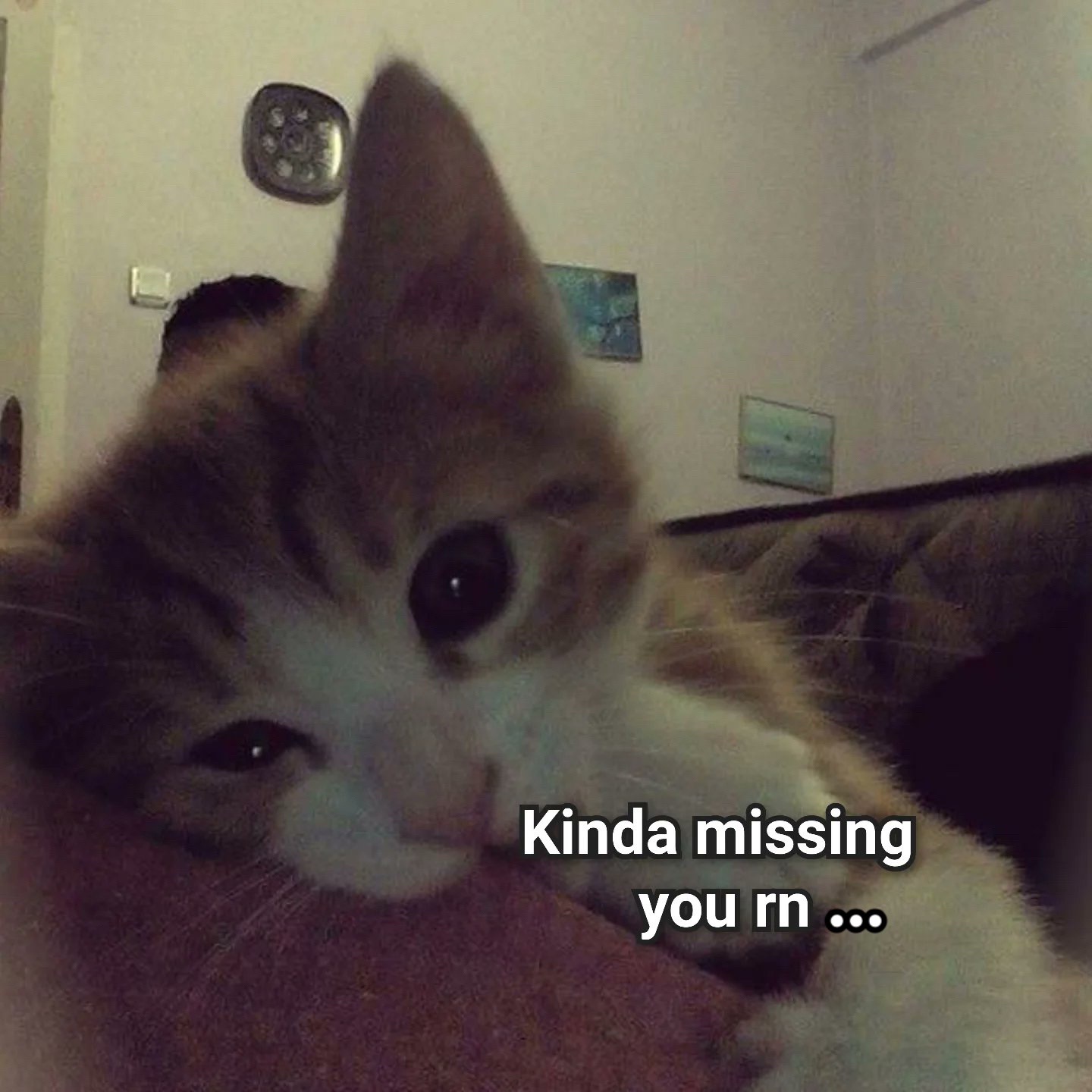 @:3