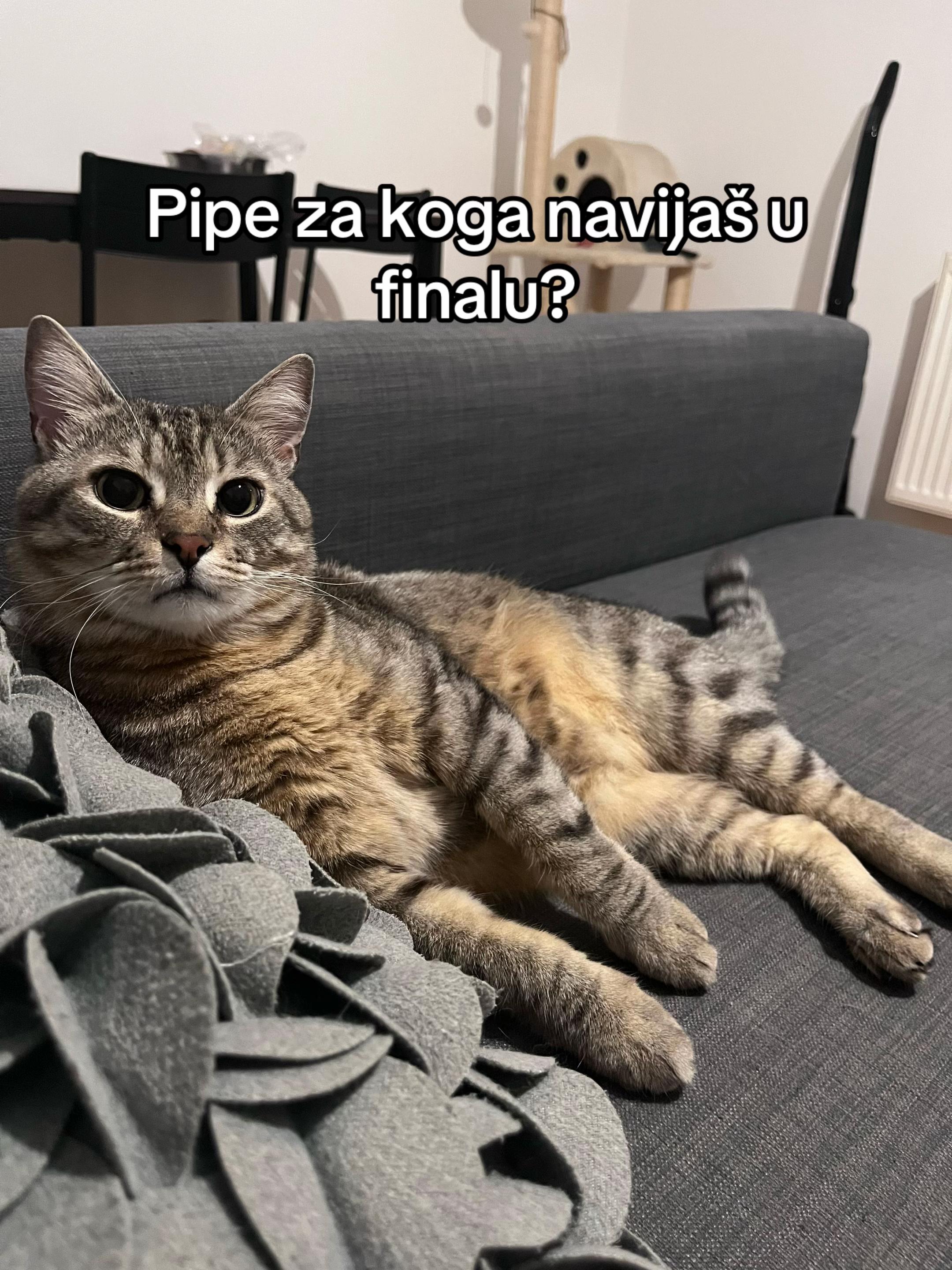 @leyla