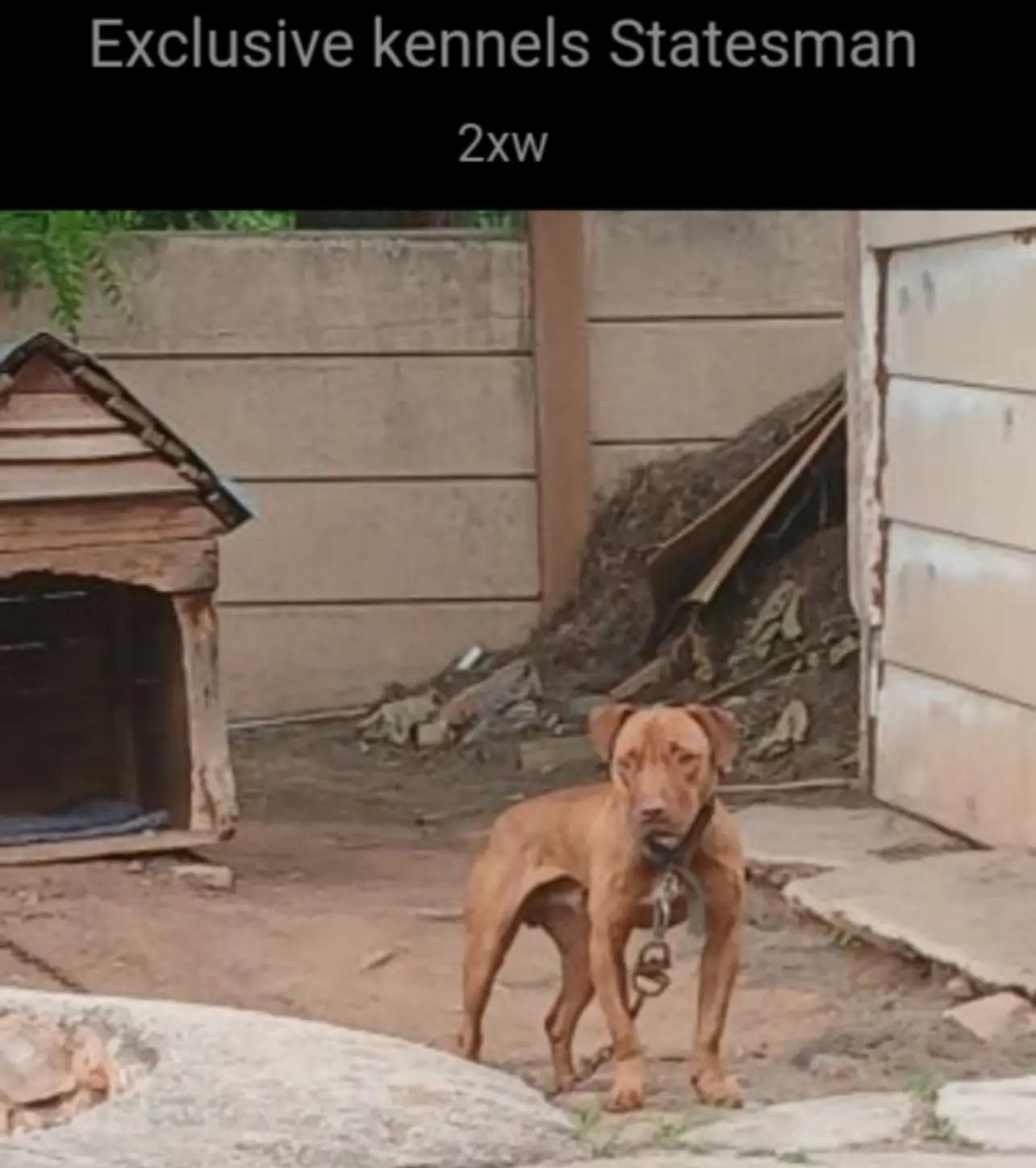 @SAAPBT_GAMEDOGS