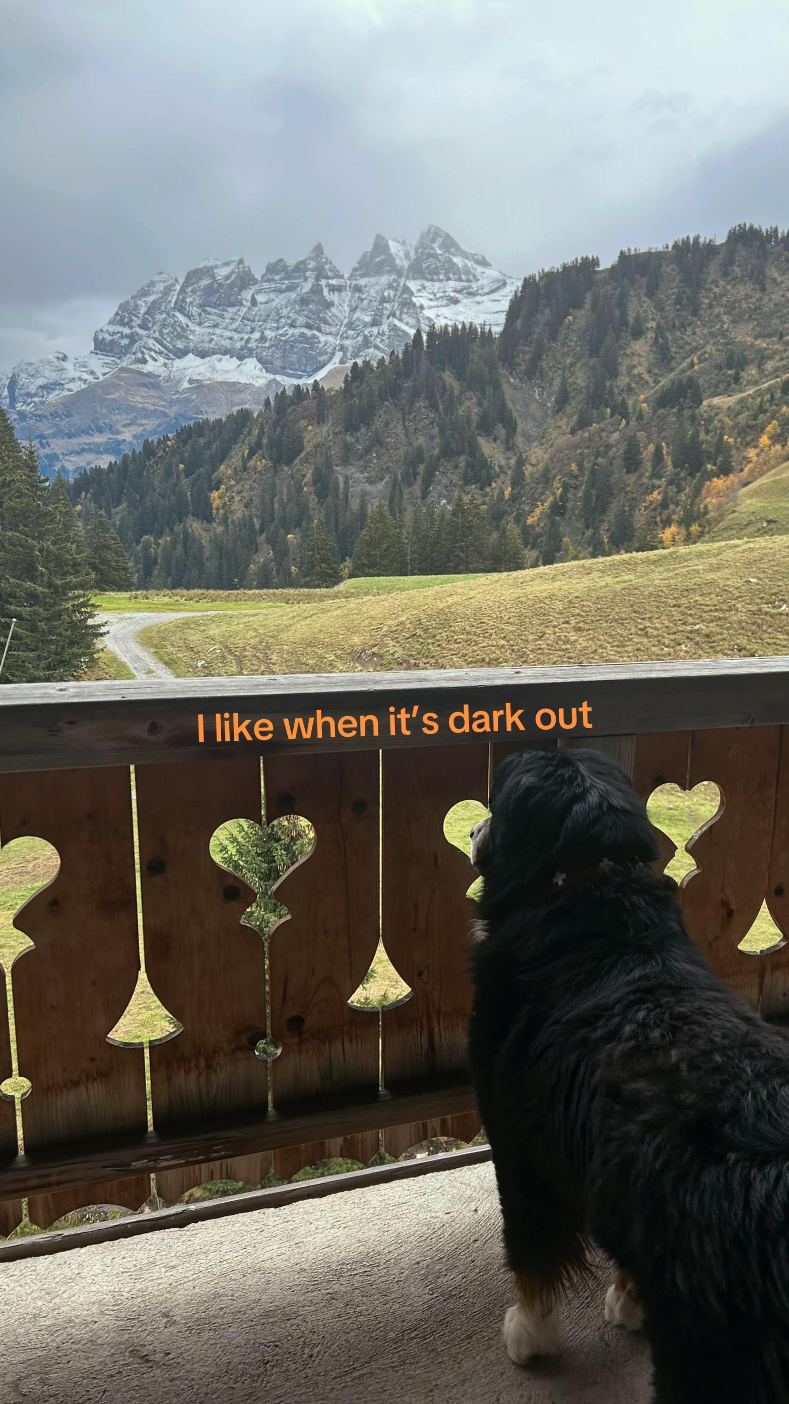 @Scarlett 🥦