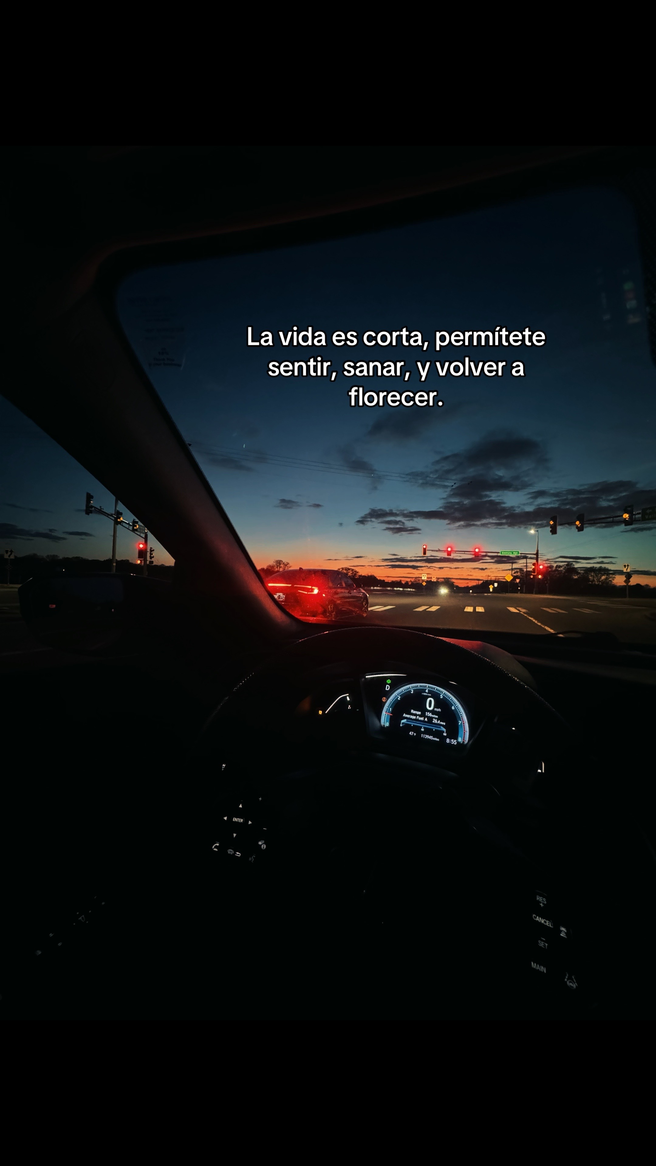 @Stephani Ramos-Obando
