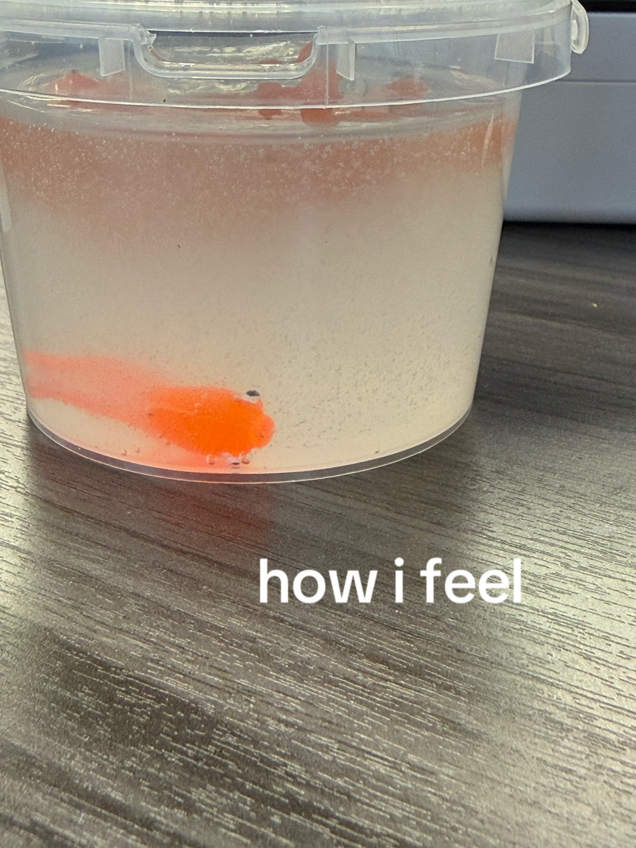 @emma 🧸