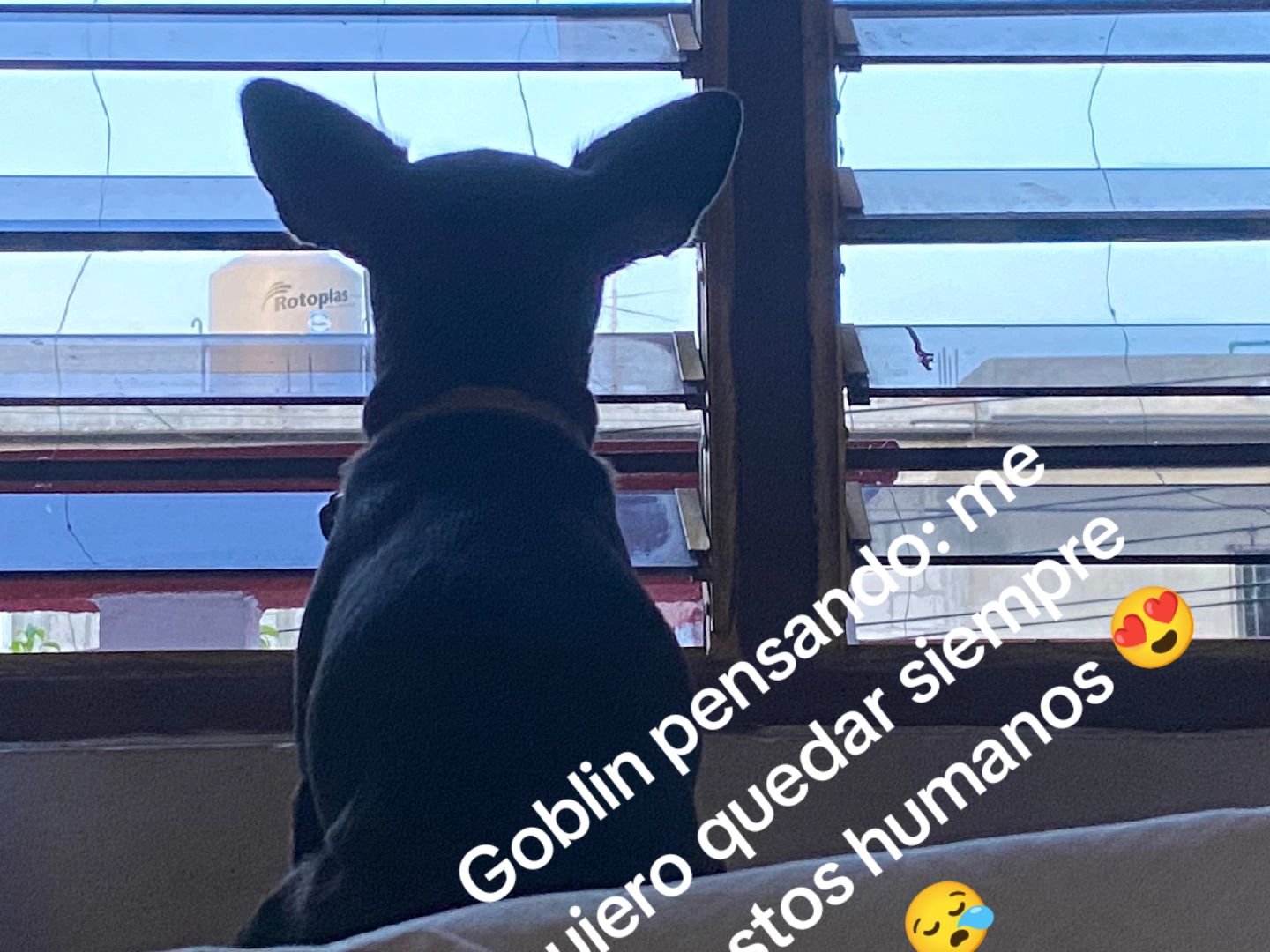 @ReynitaMontaño