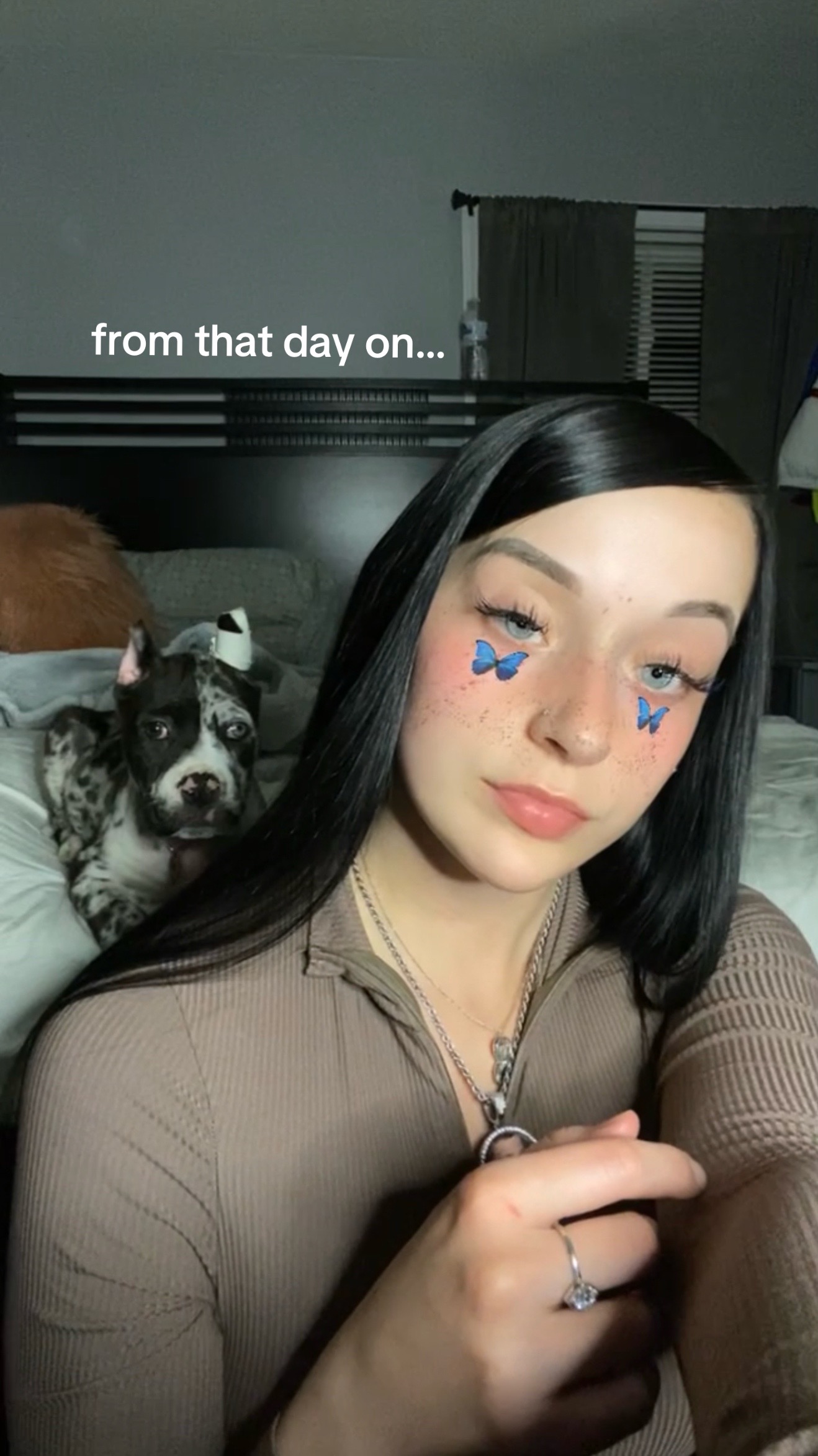 @BLYNN&THEDOGS 🫧