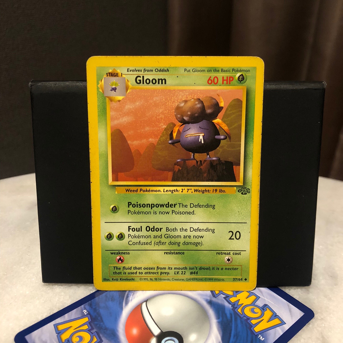 @Kanto's Pokemon