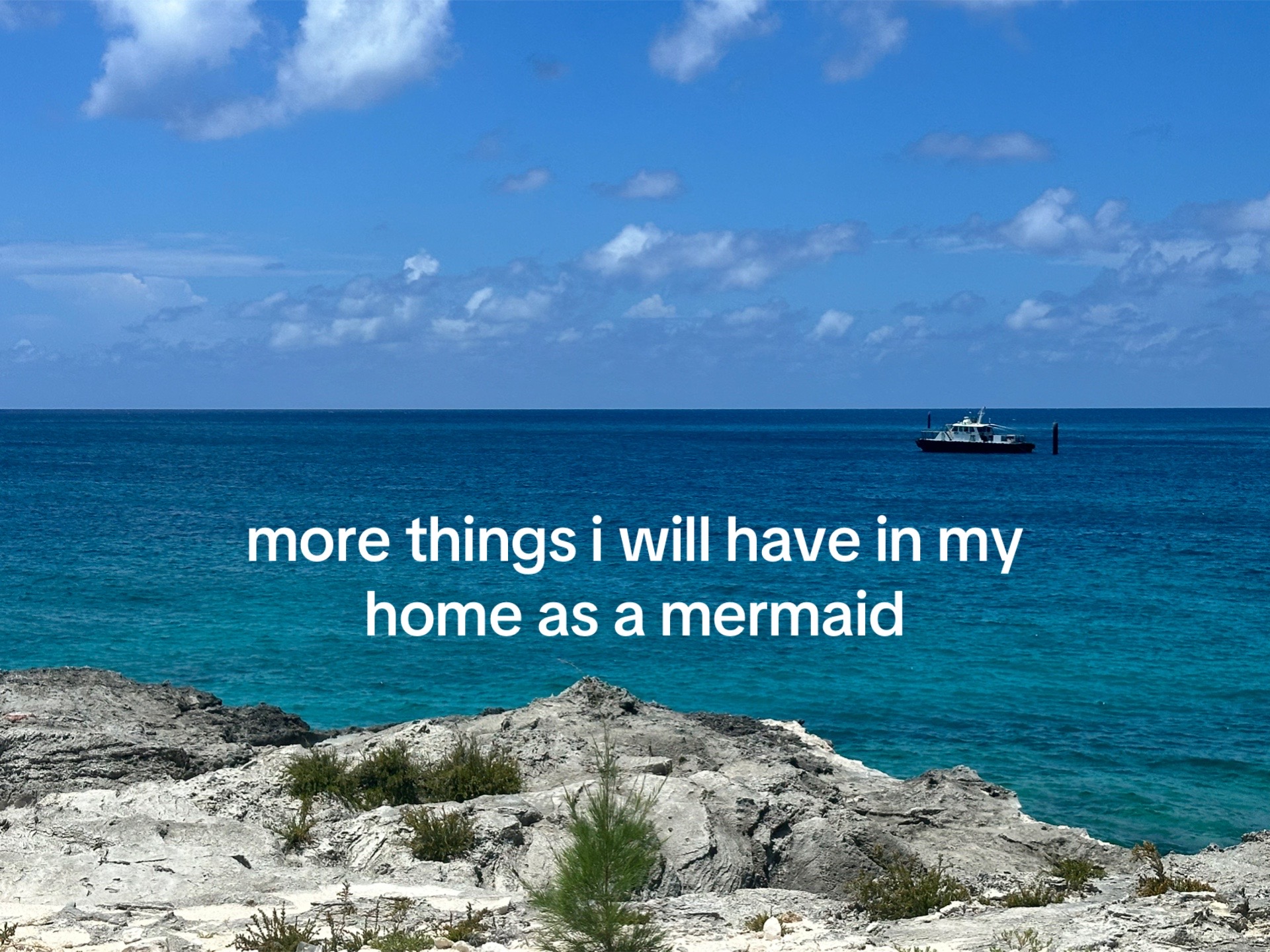 @aramina maris