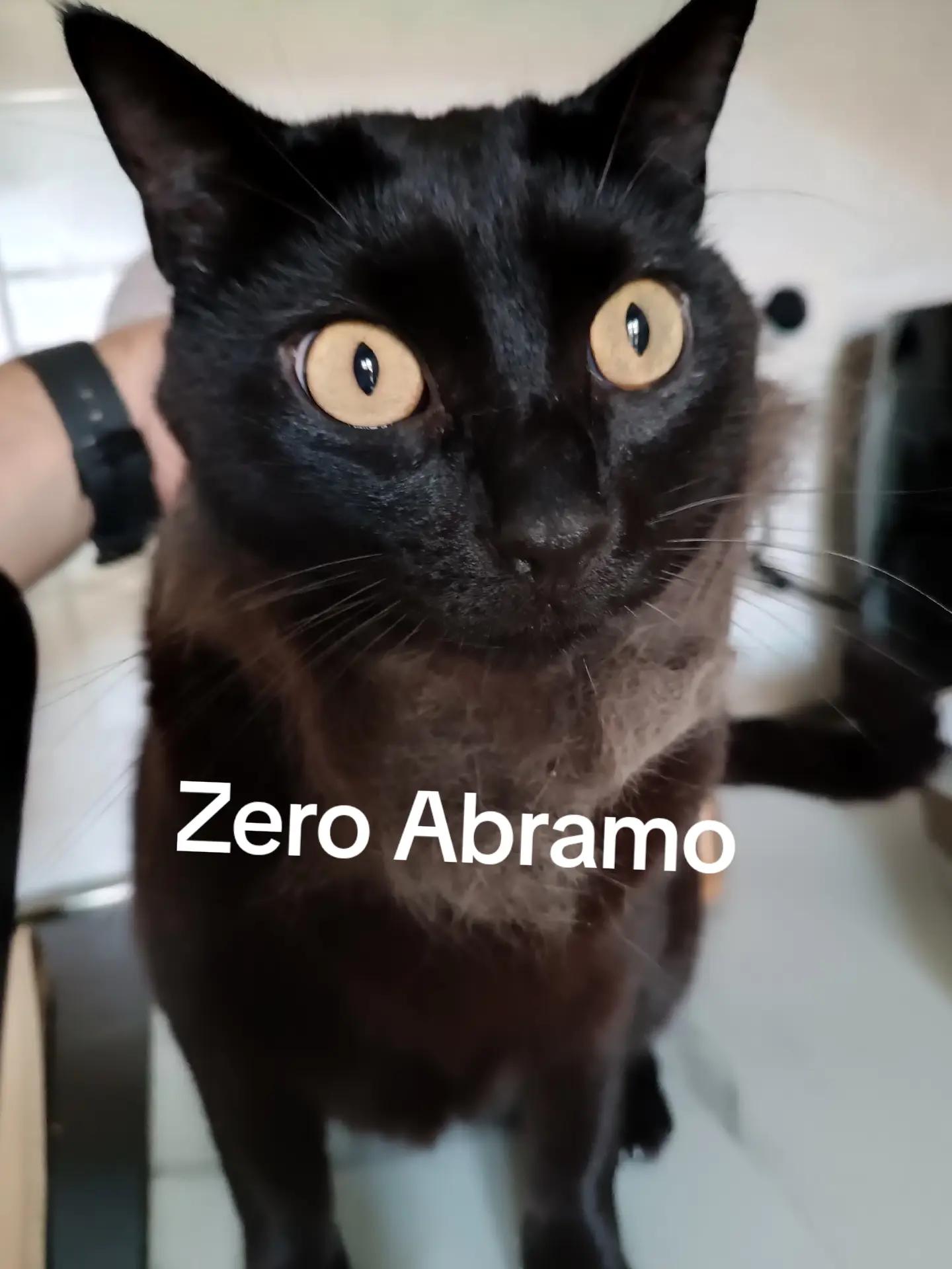 @marco ceci
