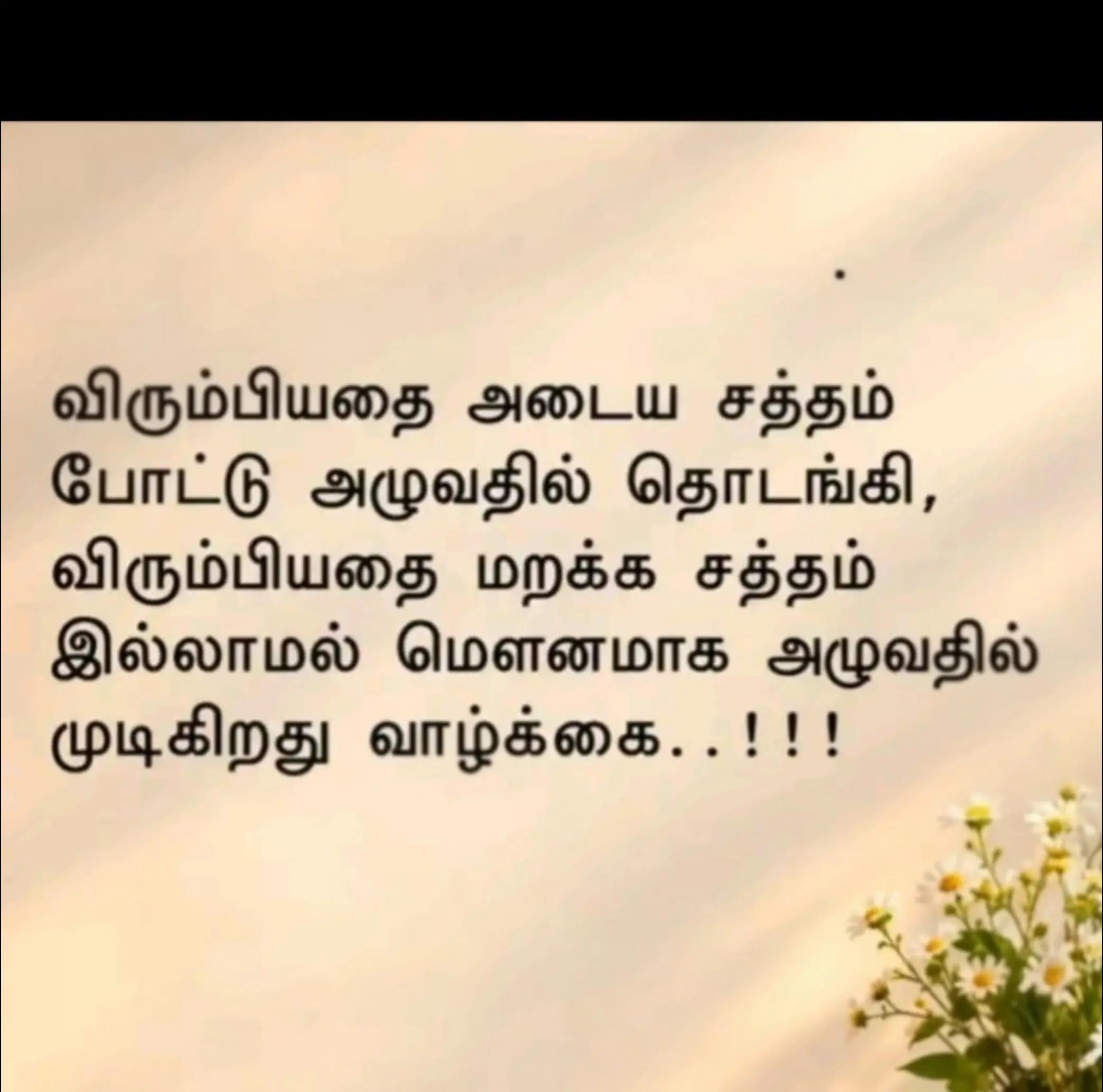 @sinna seeli