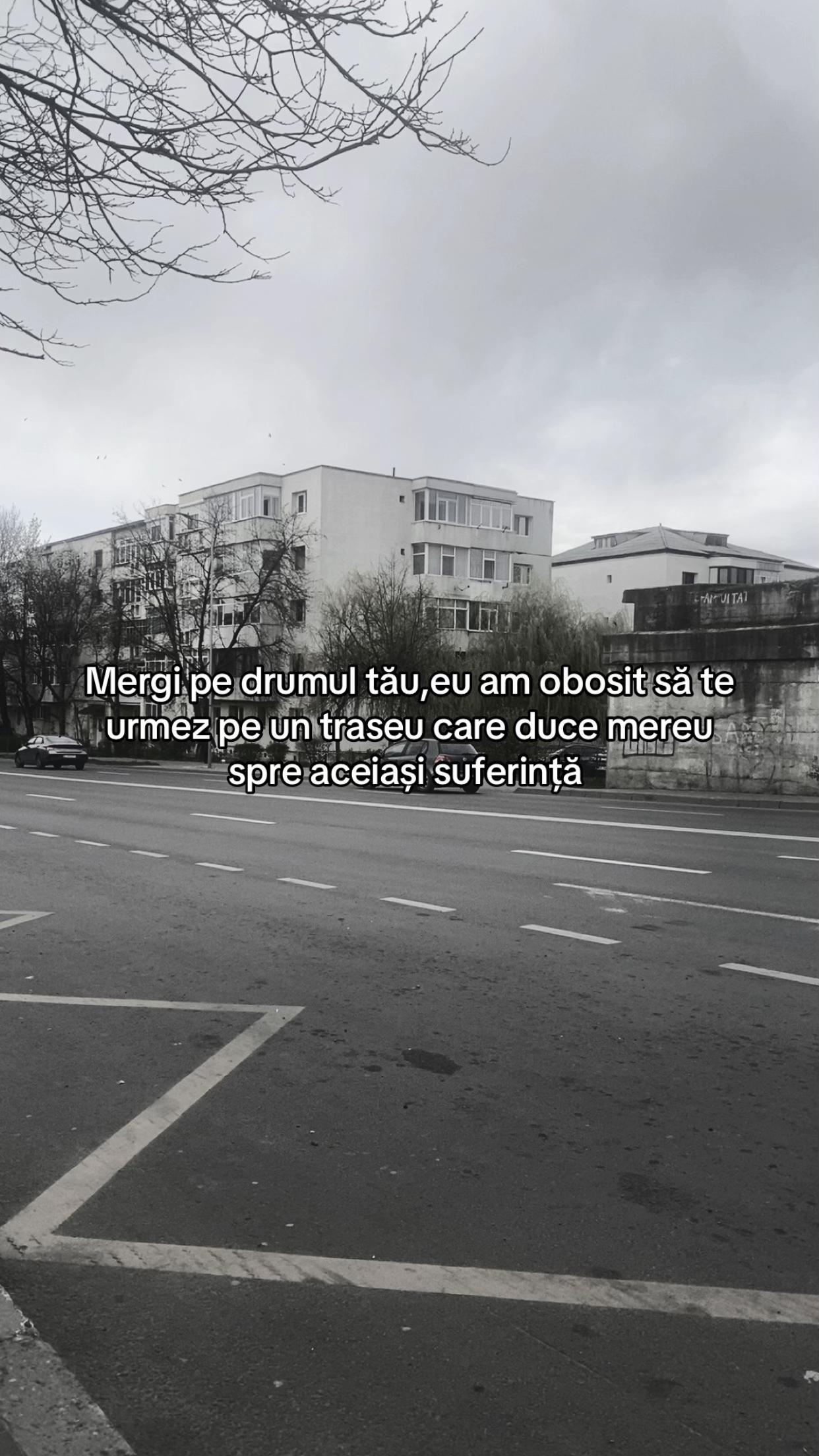 @Larisa
