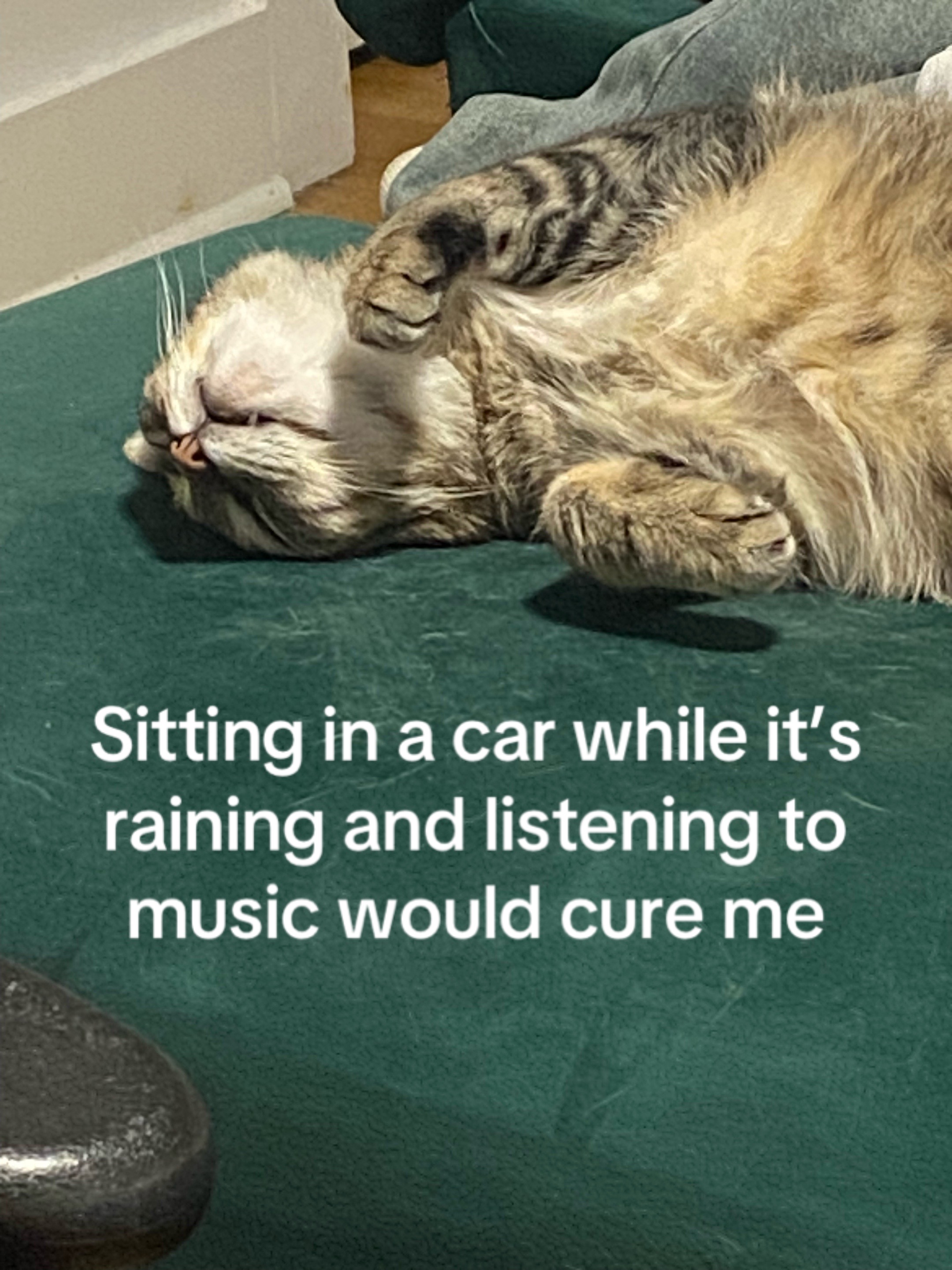 @thecancerwithcancer