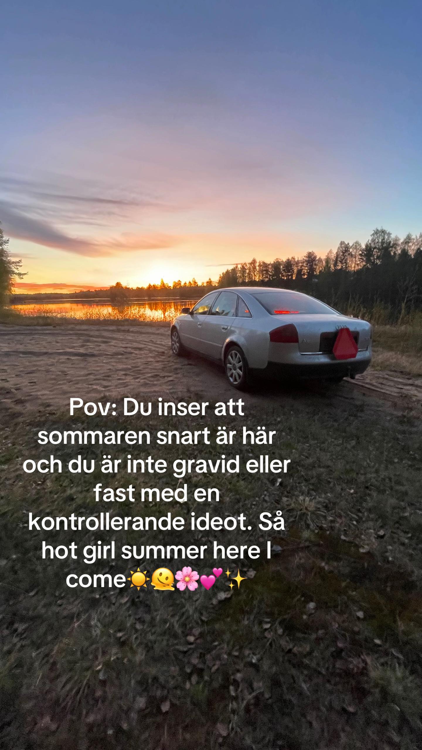 @ellenor.stromberg