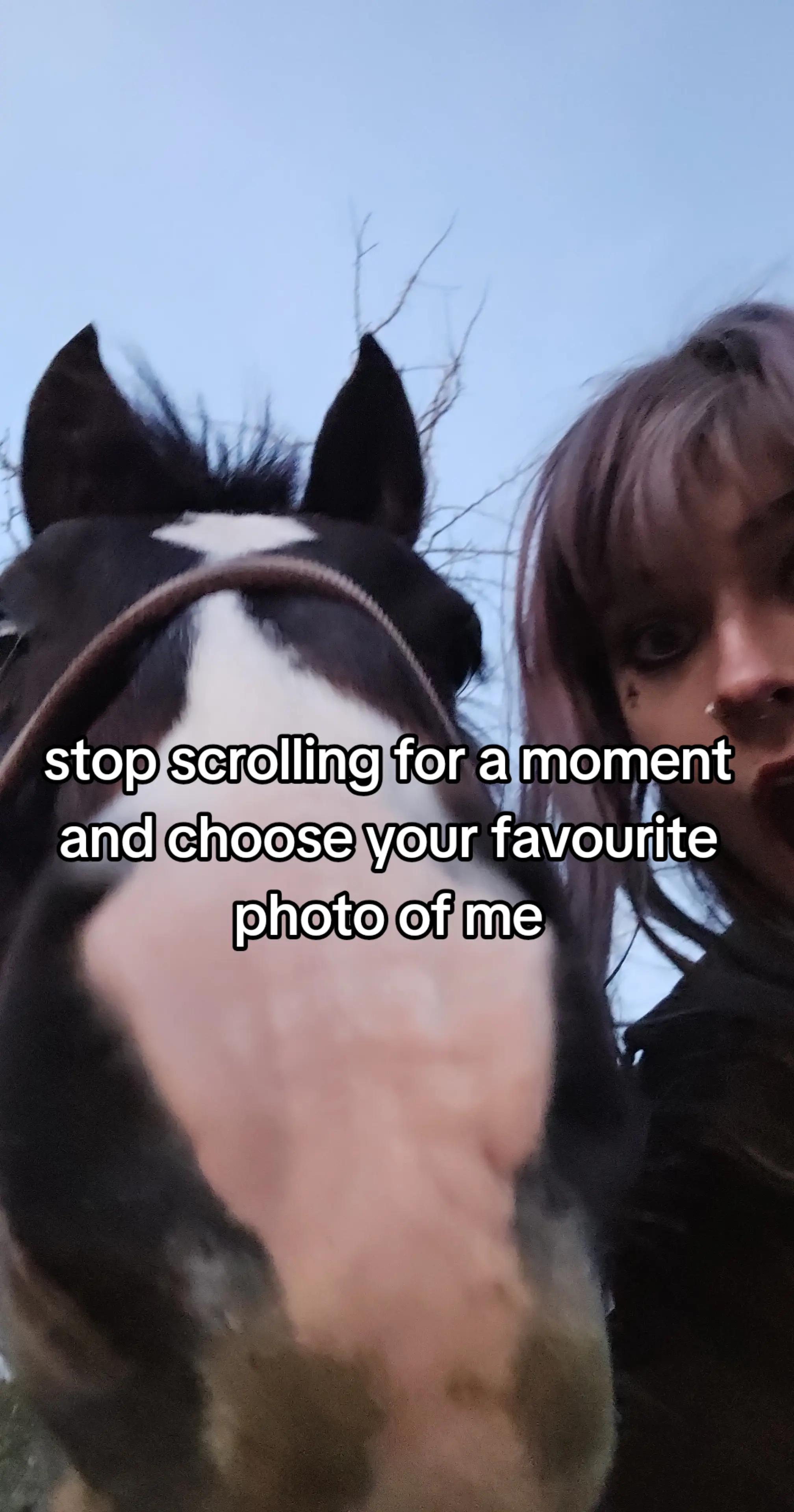 @Dino and horses