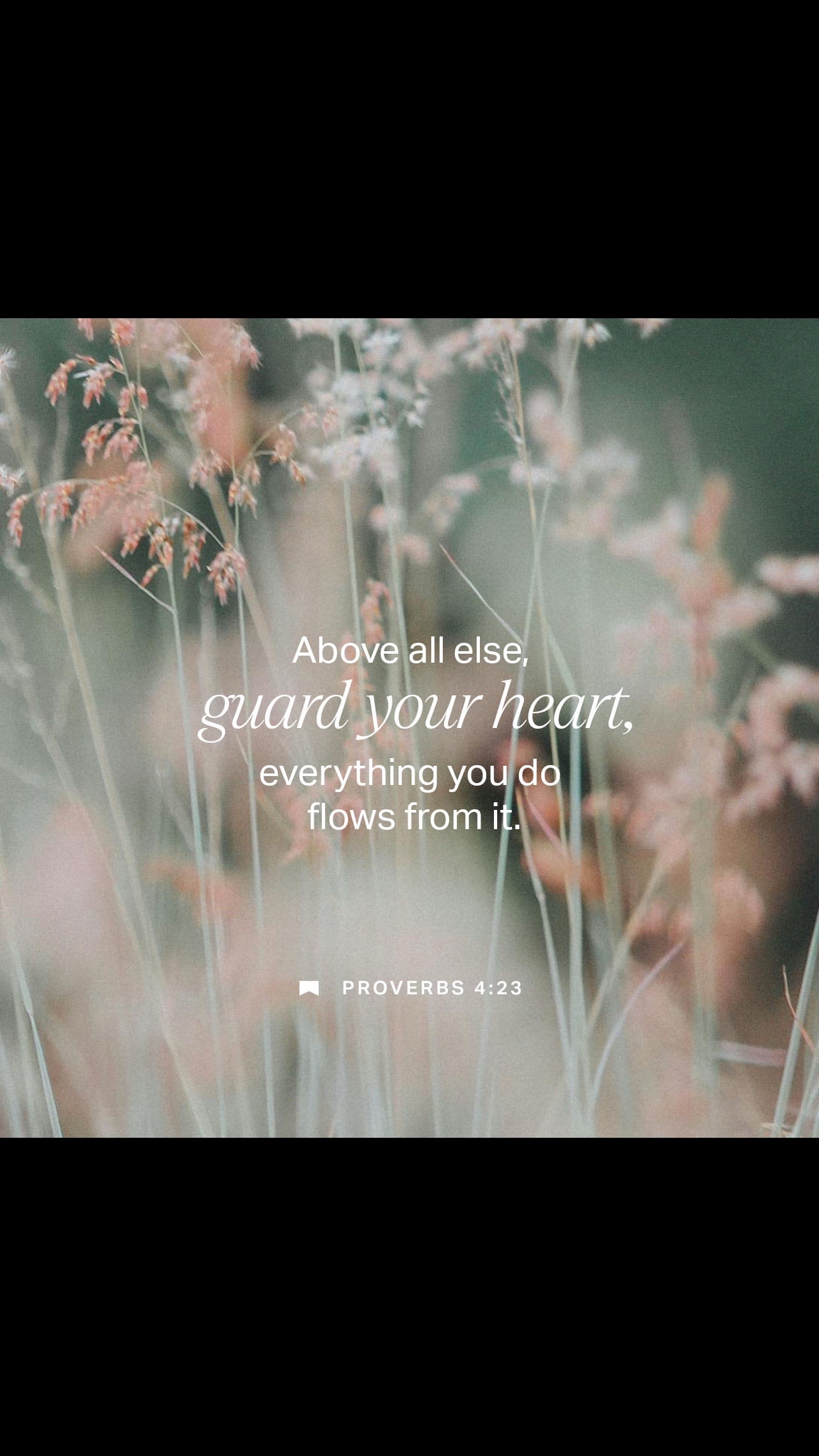 @Just Breathe