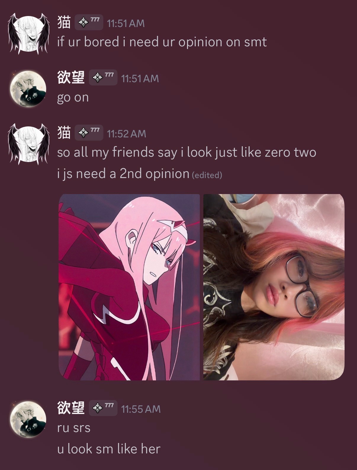 @猫