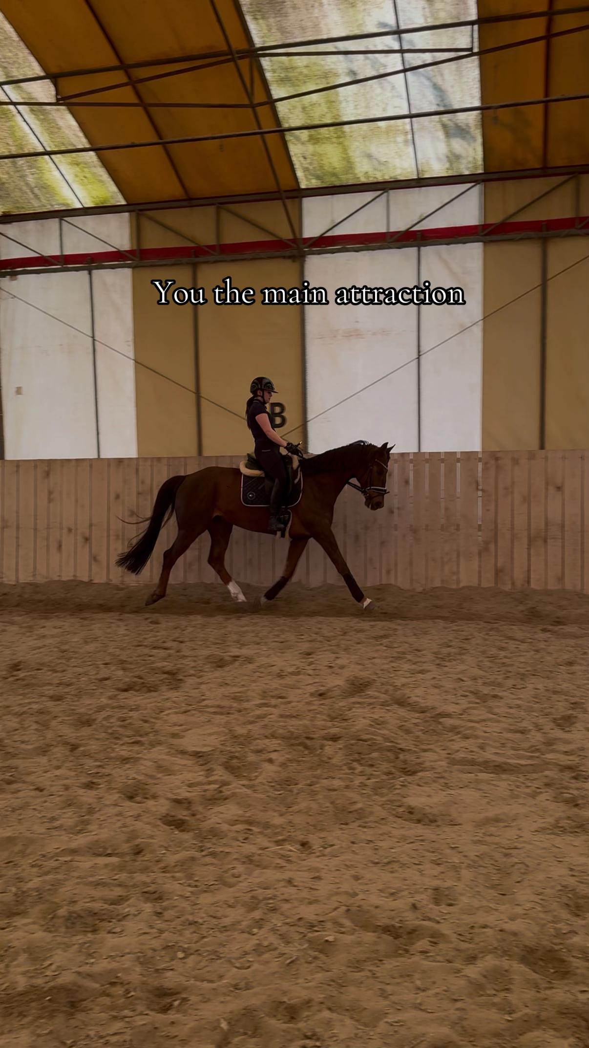 @sophietschi_x_equestrian