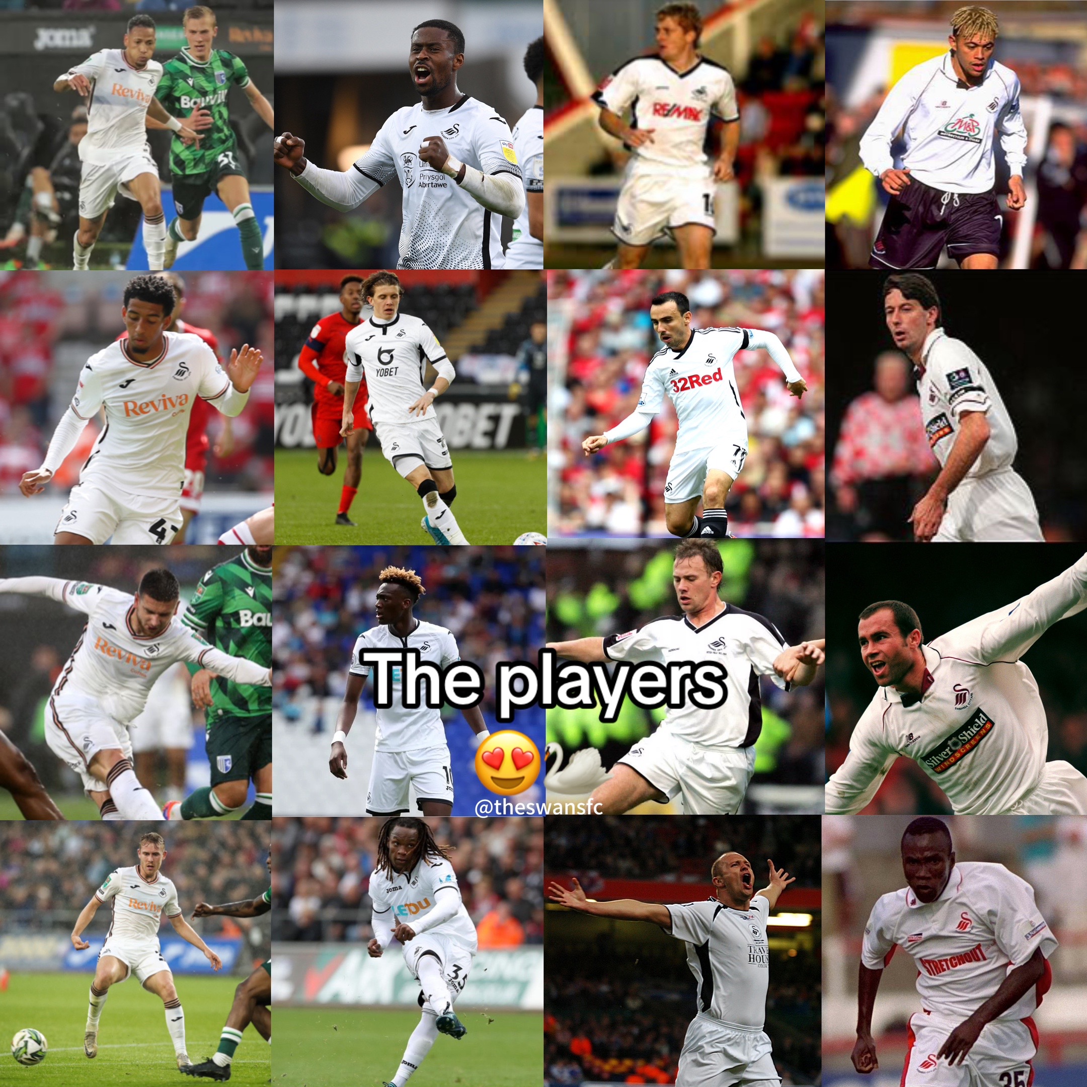 @Swansea City AFC 🦢