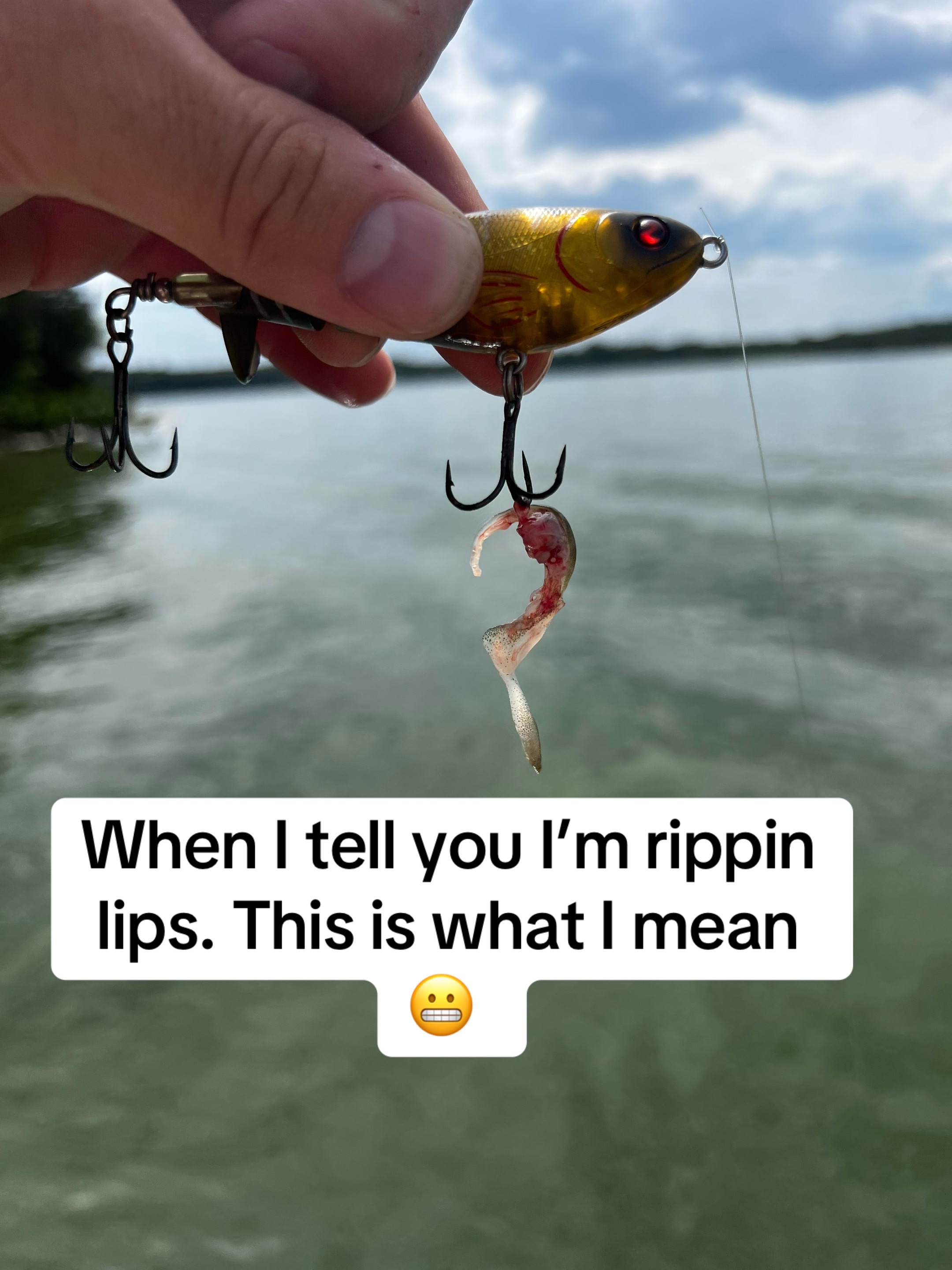 @Ⓙм𝓊ммℤ The Lawn Fisherman