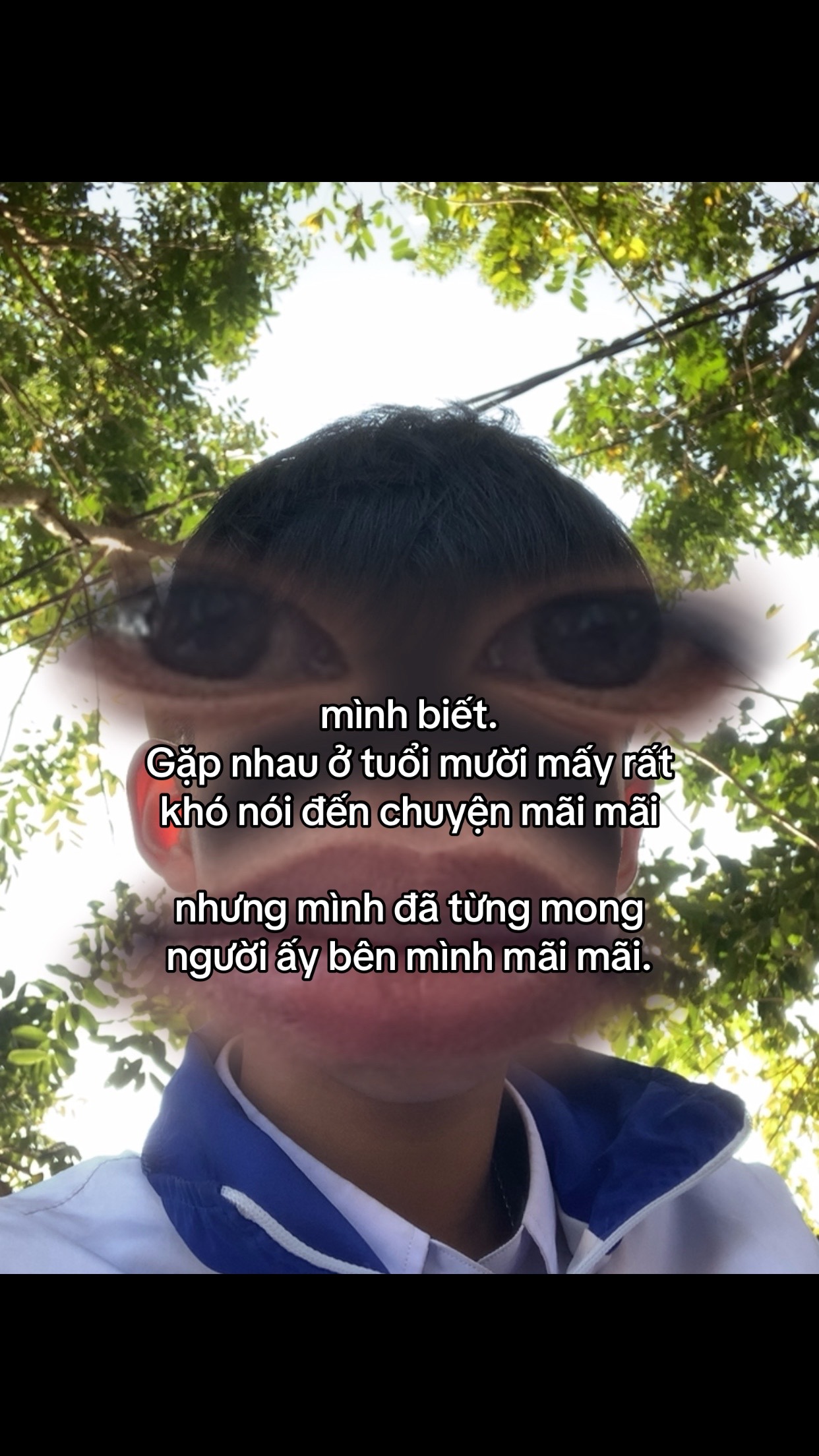 @hoàng đạt