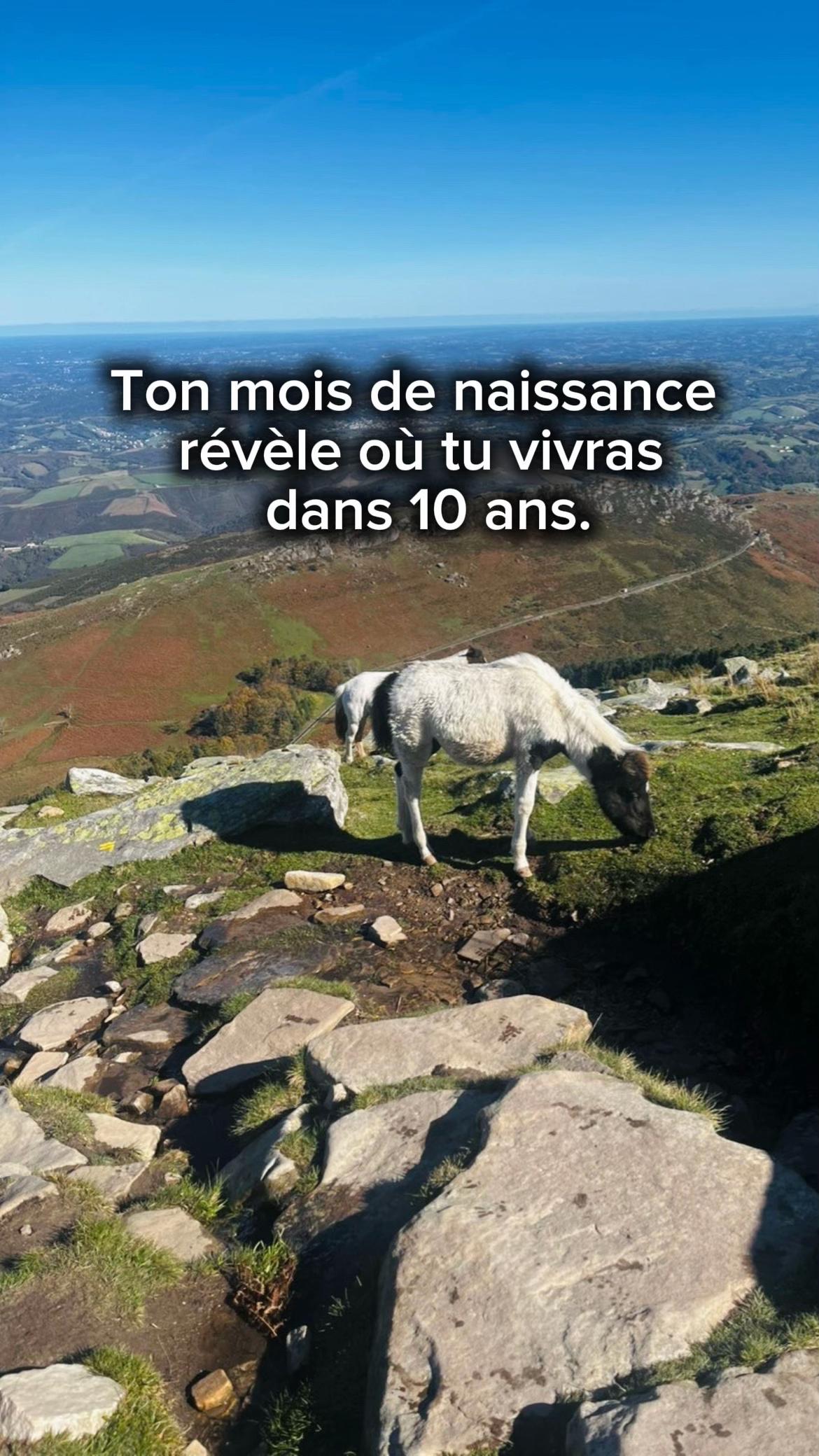 @zéno