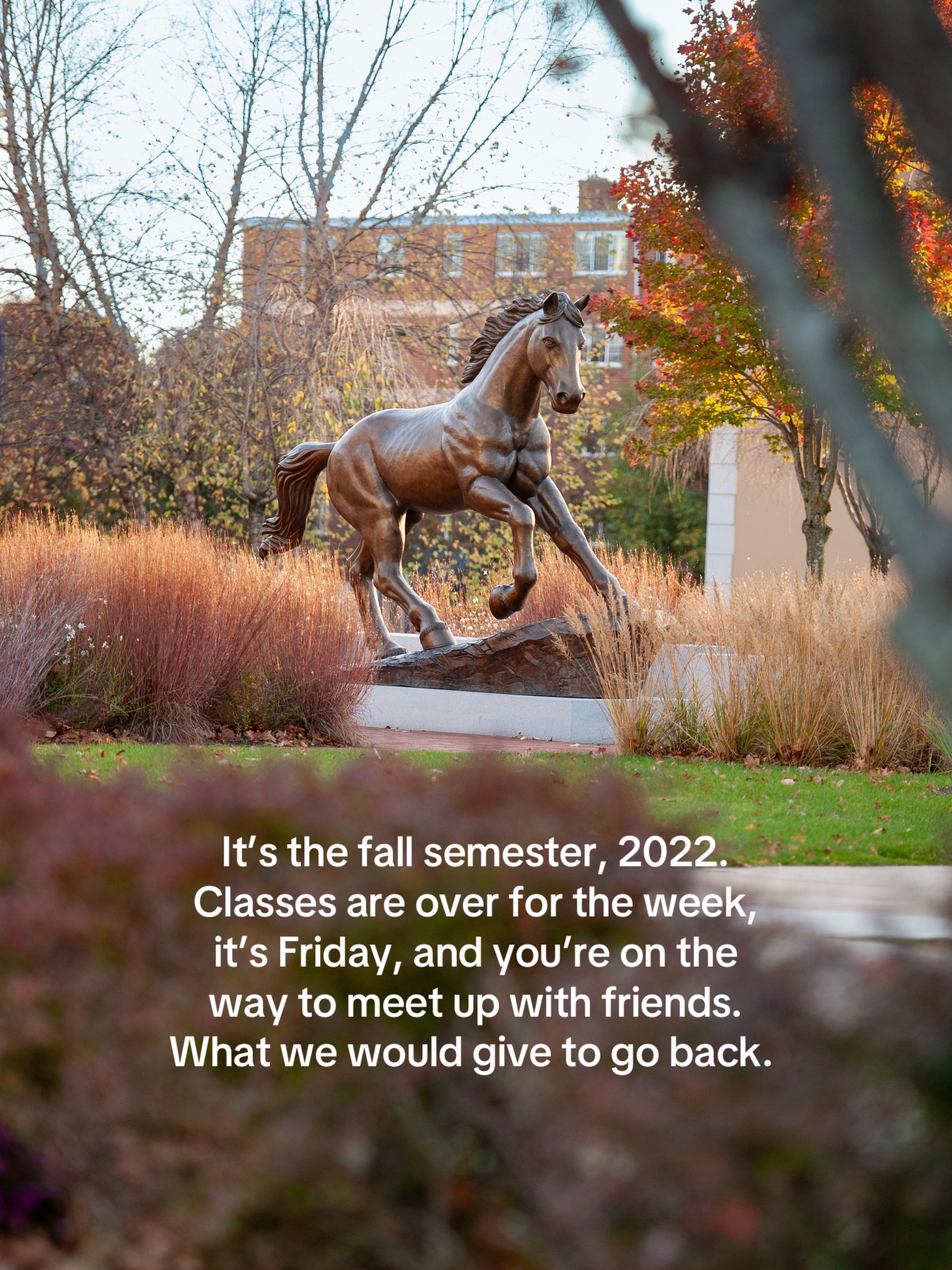 @University of New Haven