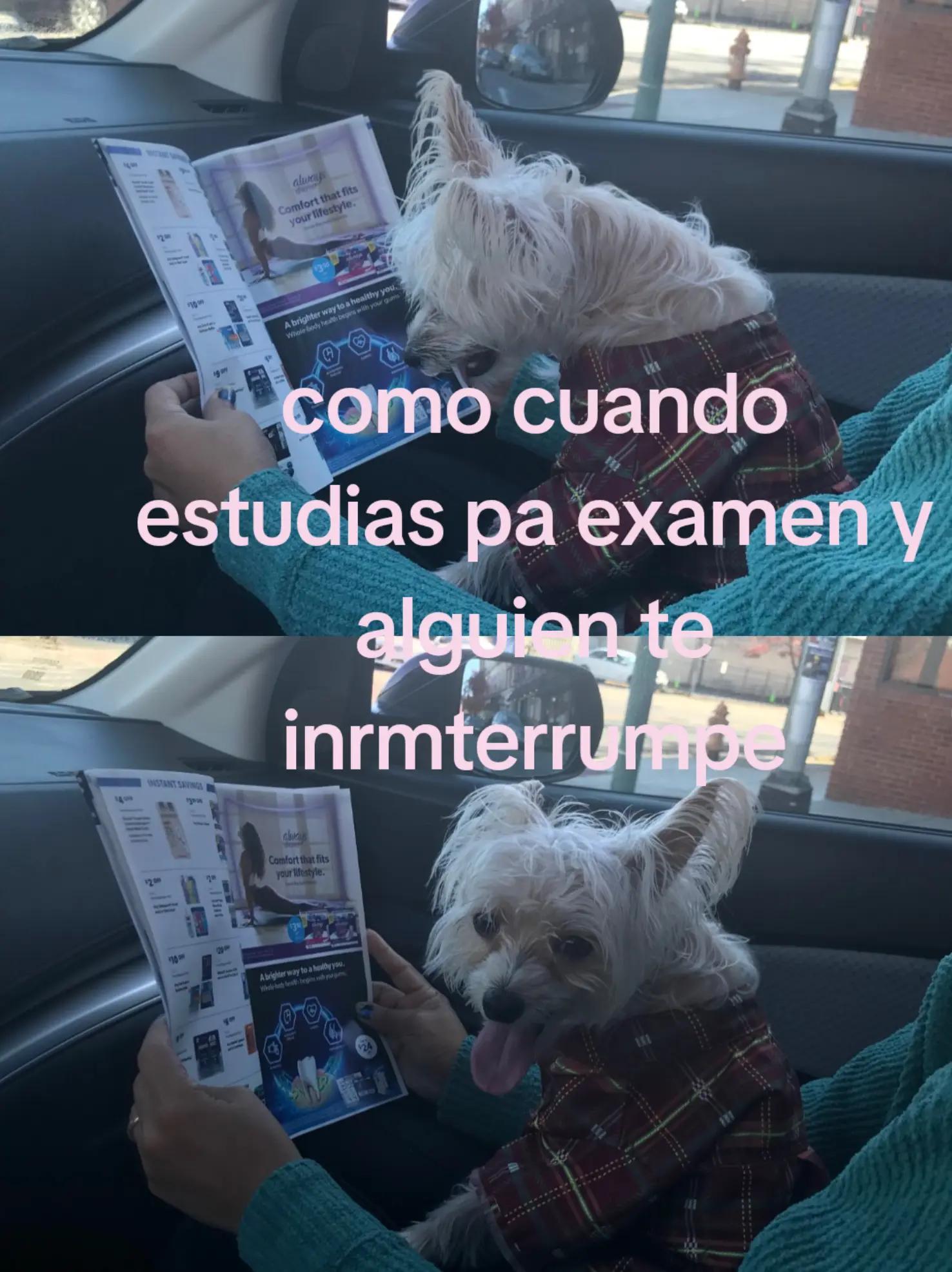 @Soy,aquel3704