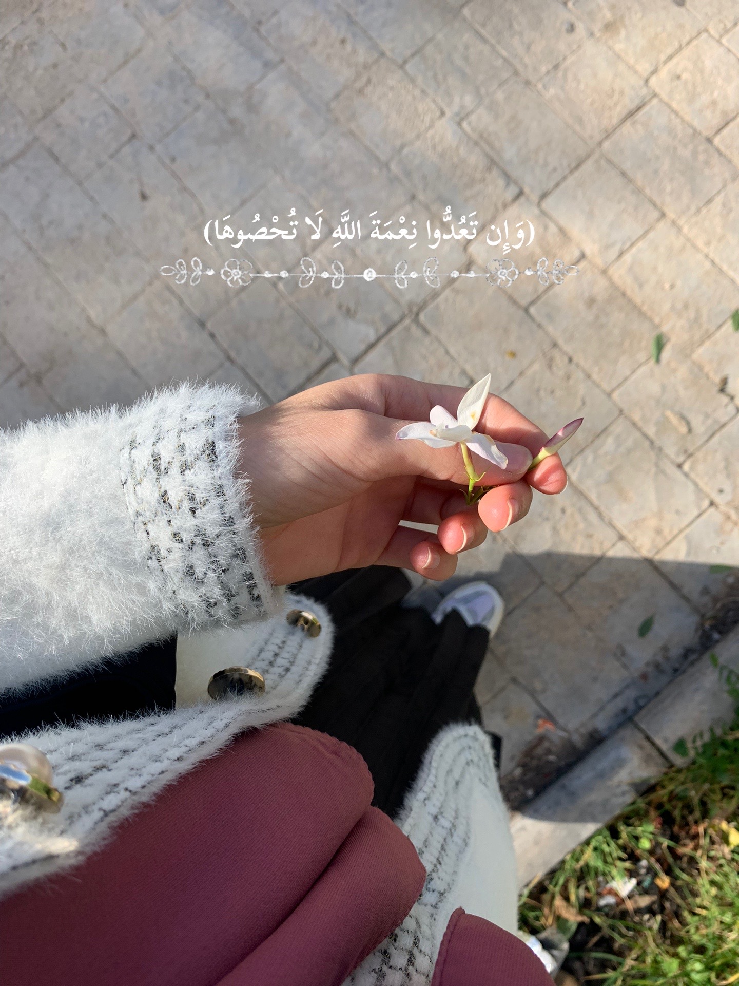 @أمنية ✨
