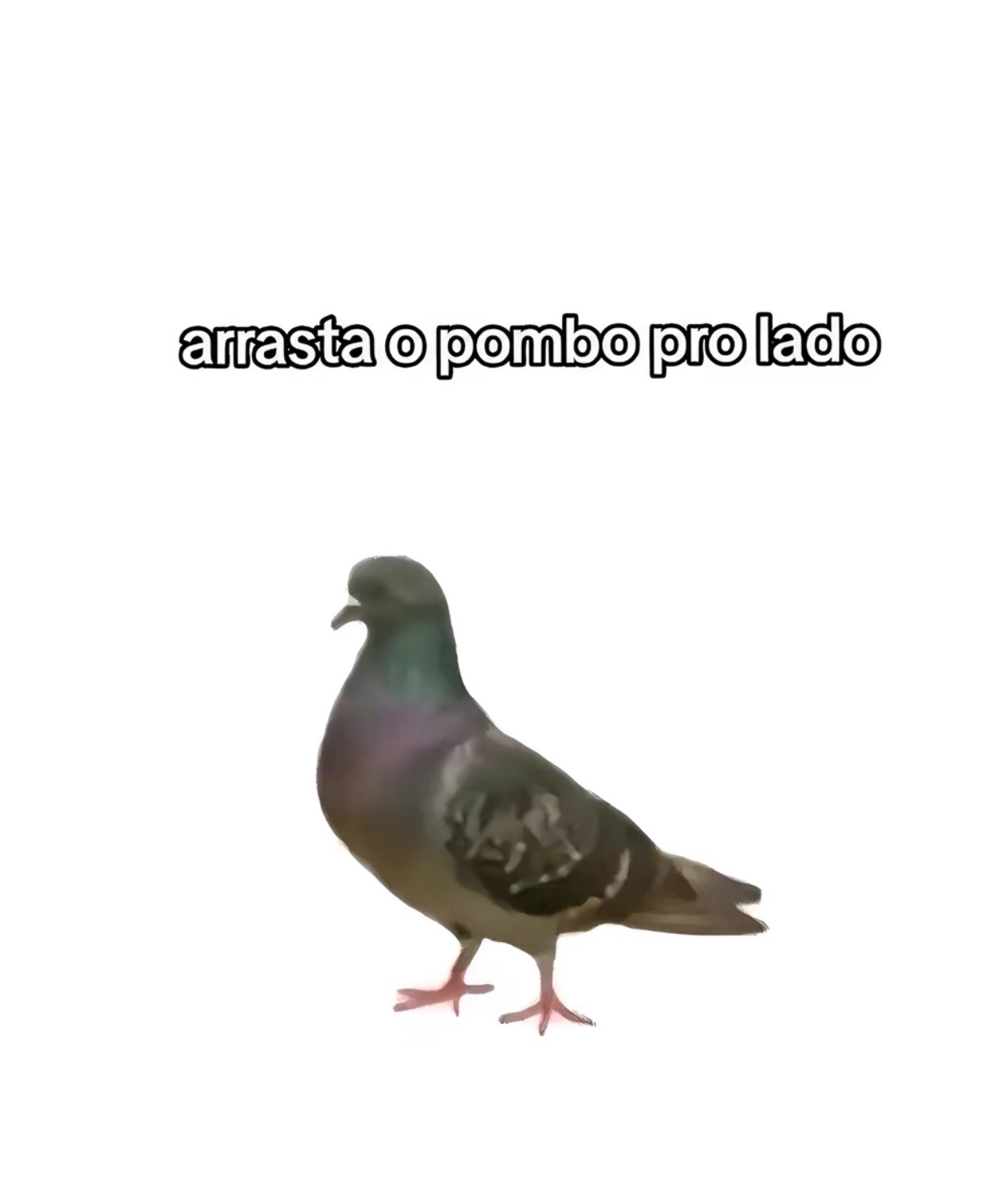 @Xanita✨