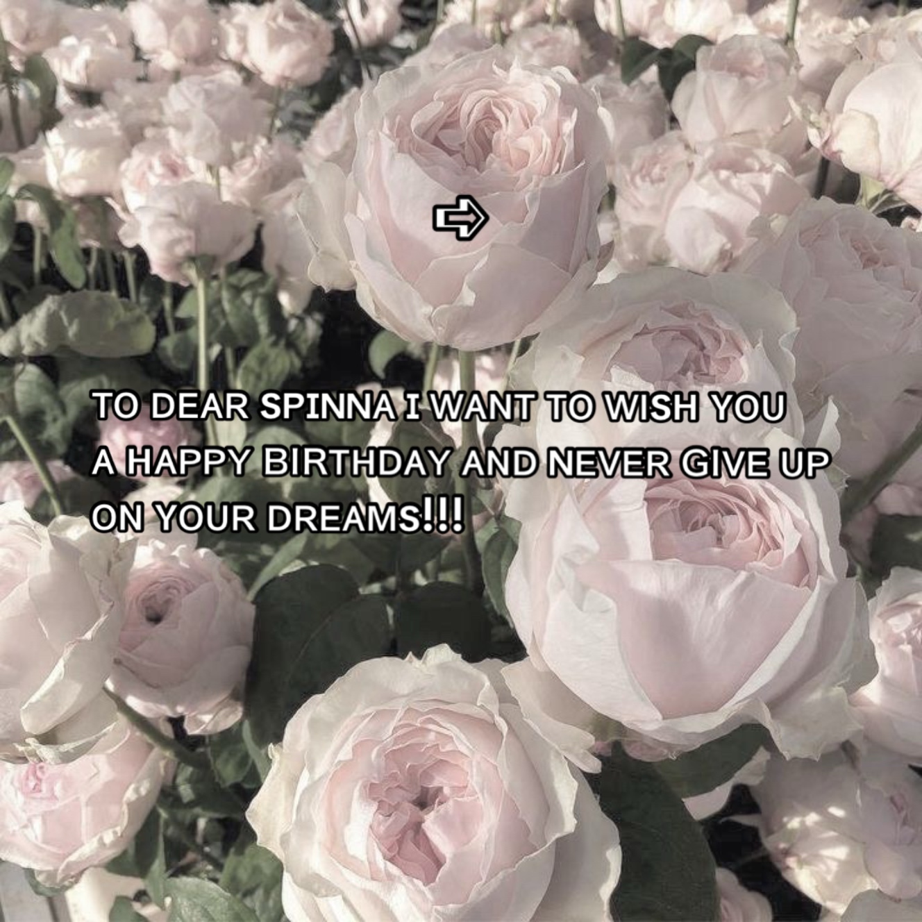 @⊰【⦇ᥣᥡᥒᥒᥲ⦈】⊱【🍰🌅】