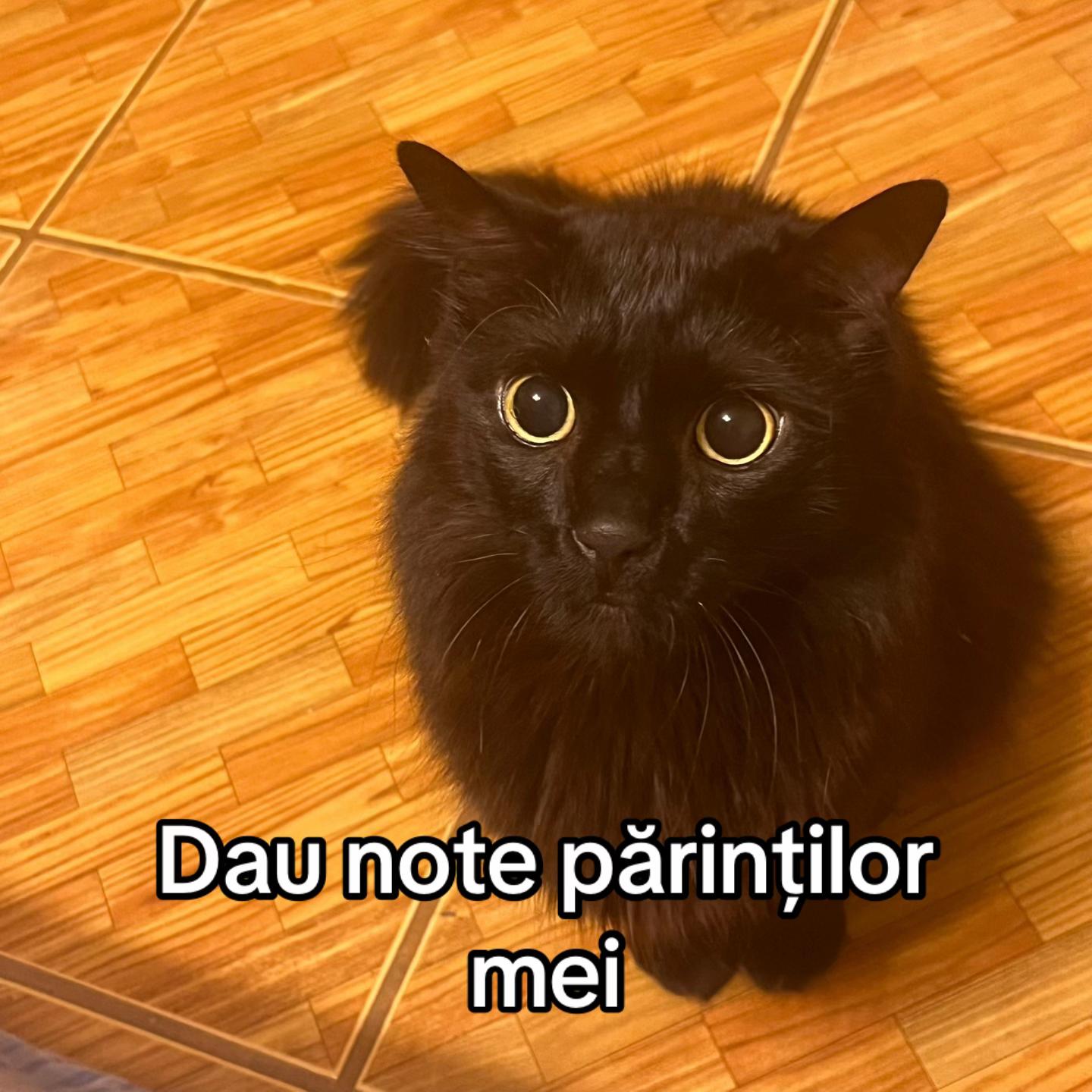 @𝒥𝒶𝓃𝒸𝒶&deg;