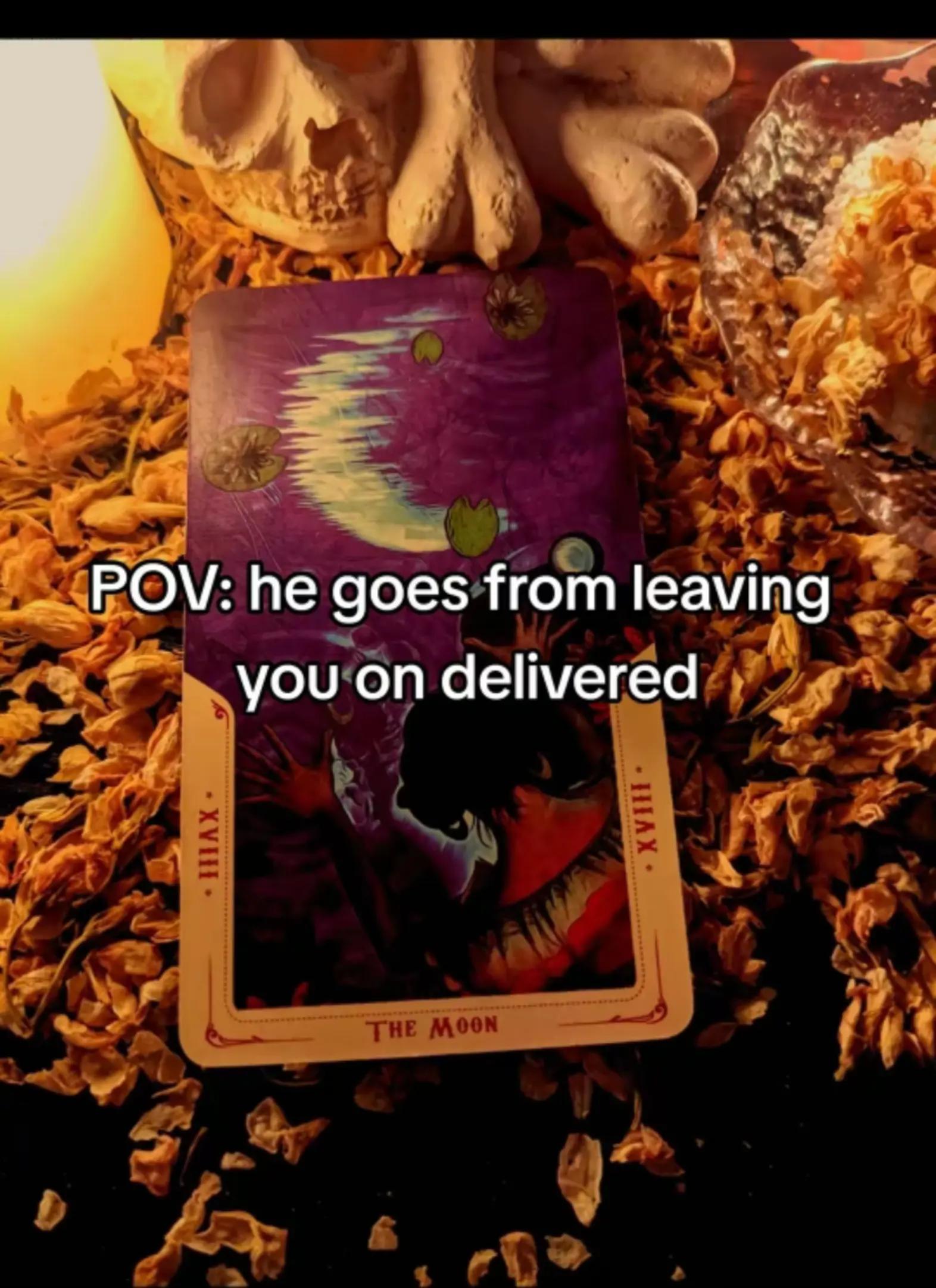 @ROSA🔮
