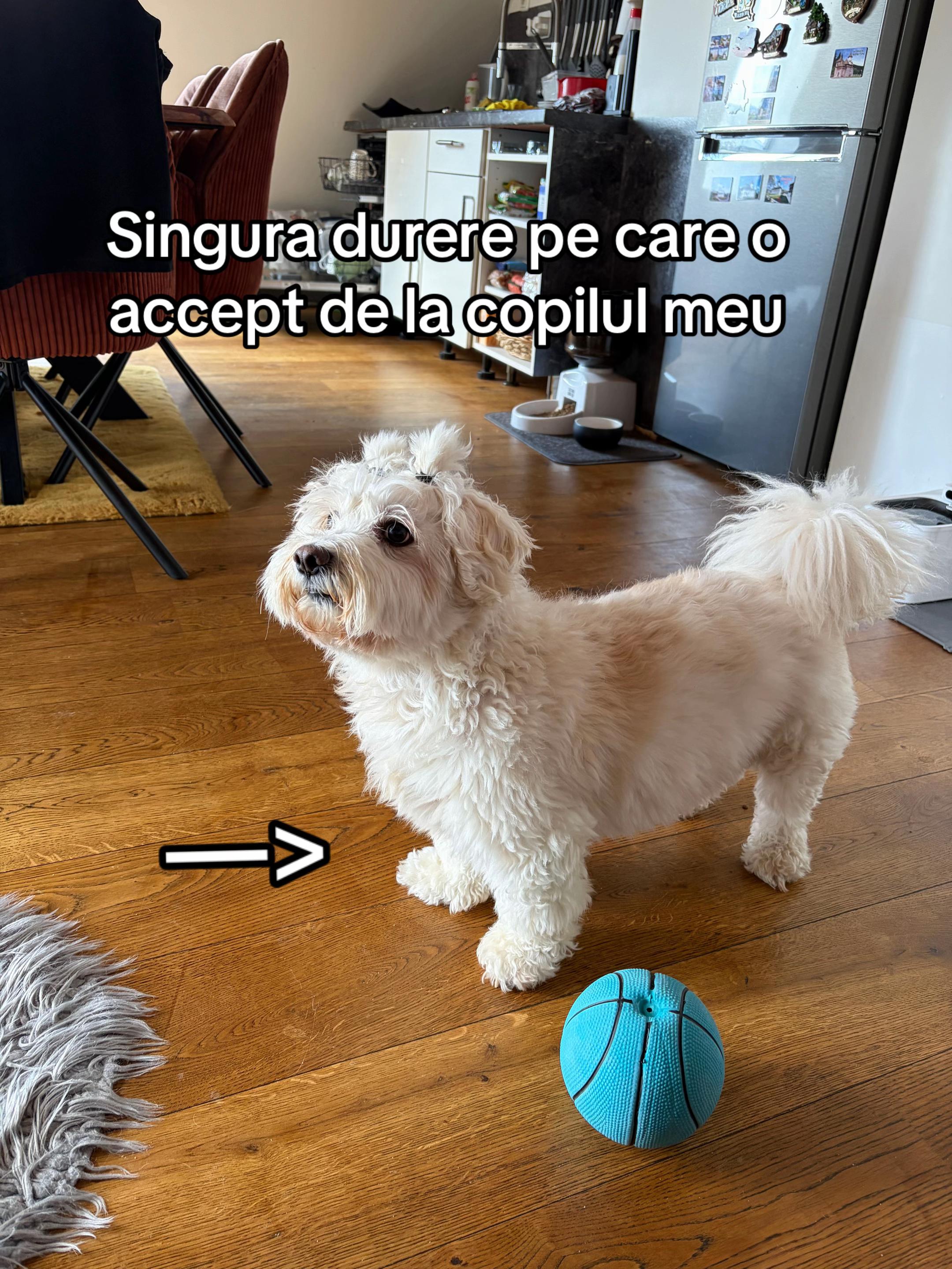 @💛Ale&Hugo🩶