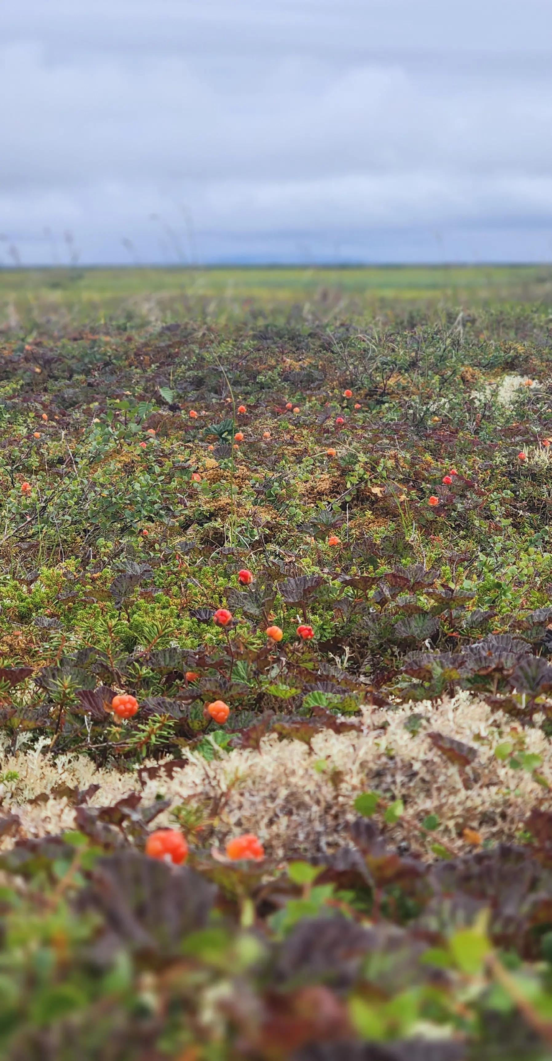 @Albert Sr.