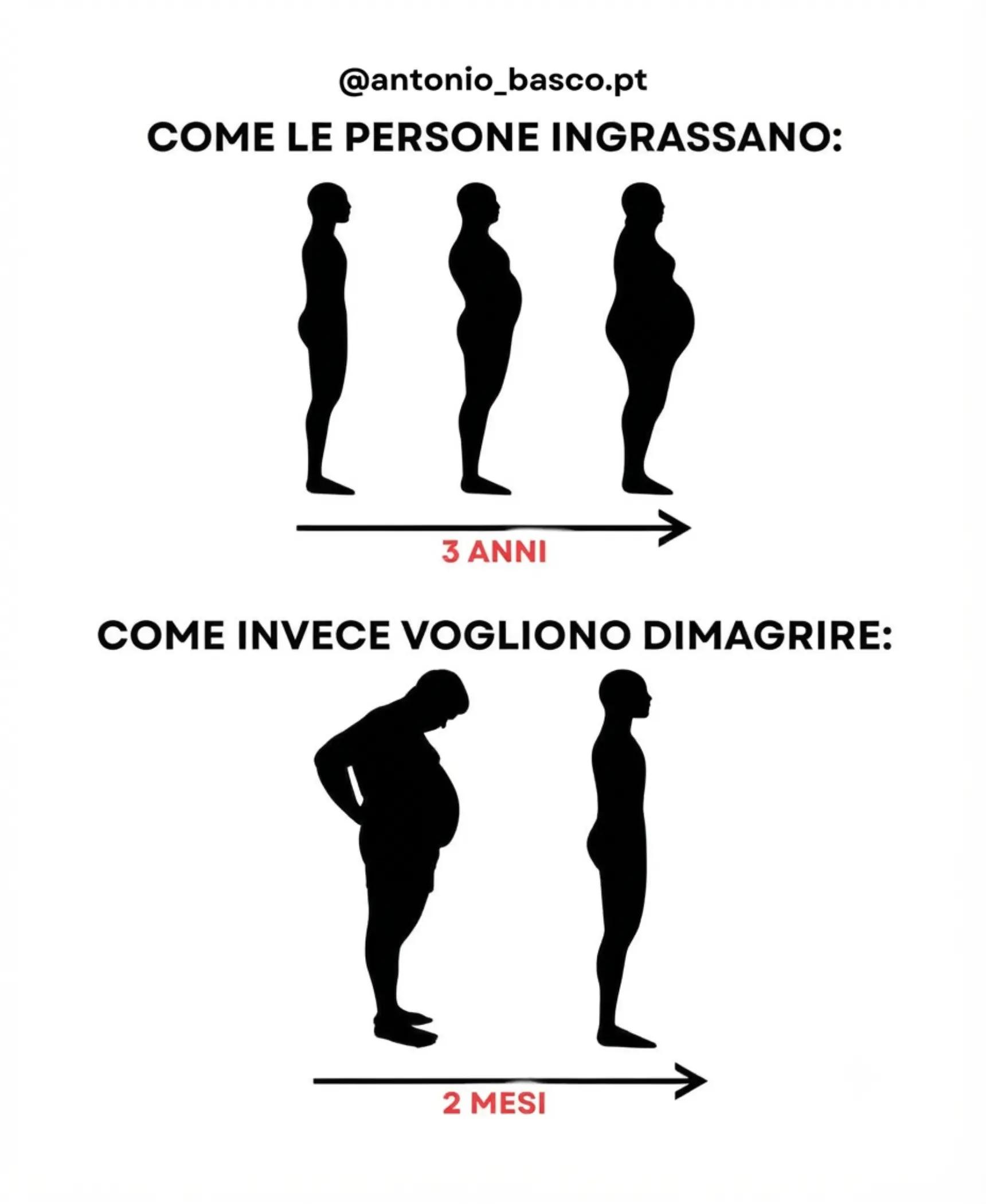 @antonio_basco.pt