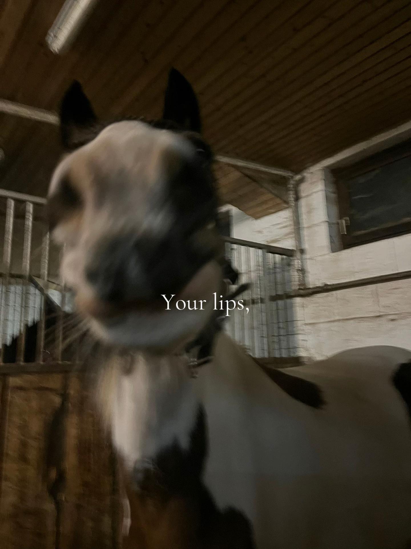@𝘍𝘪𝘯𝘫𝘢 🪐
