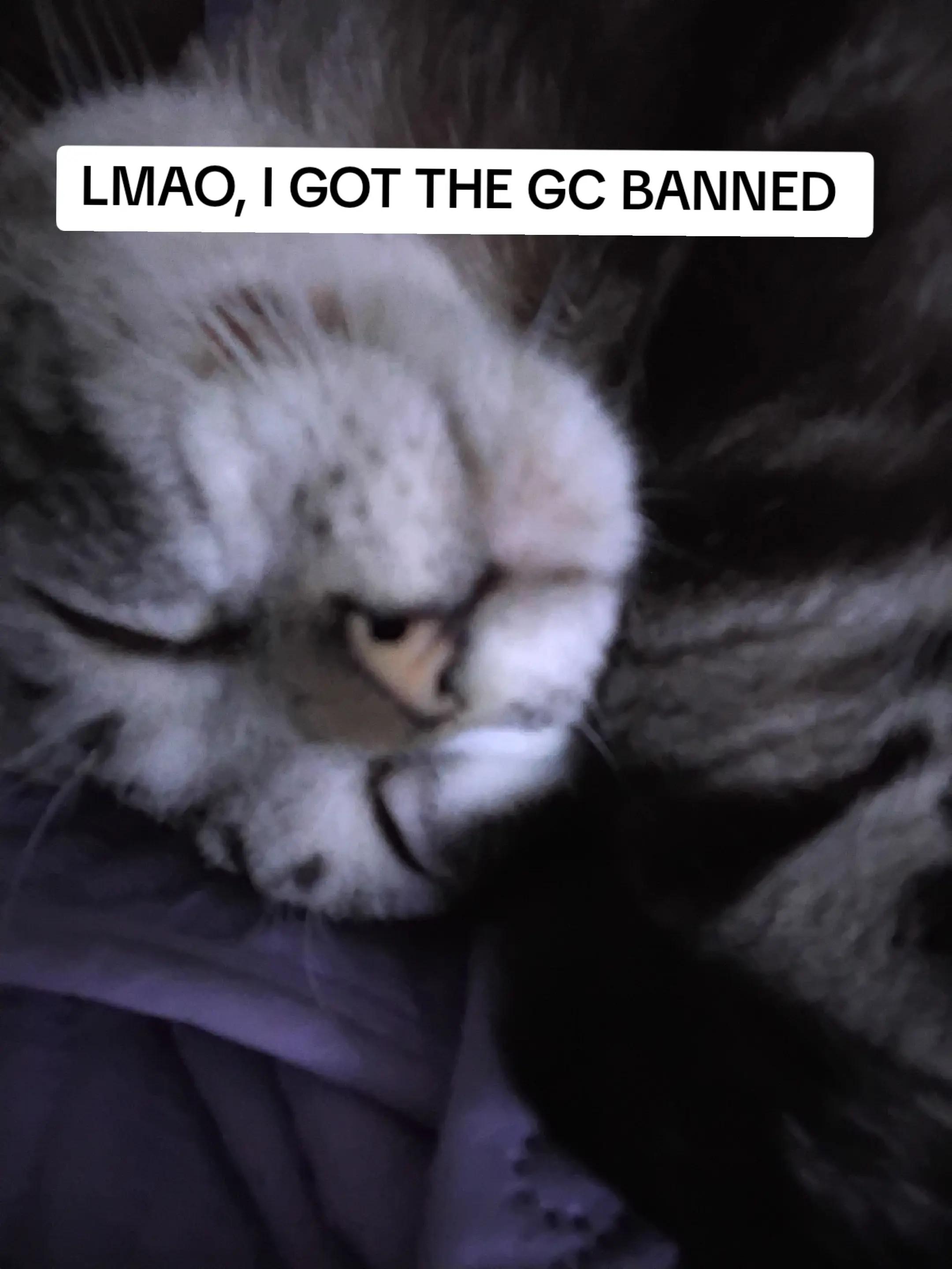 @Gonta Gokuhara