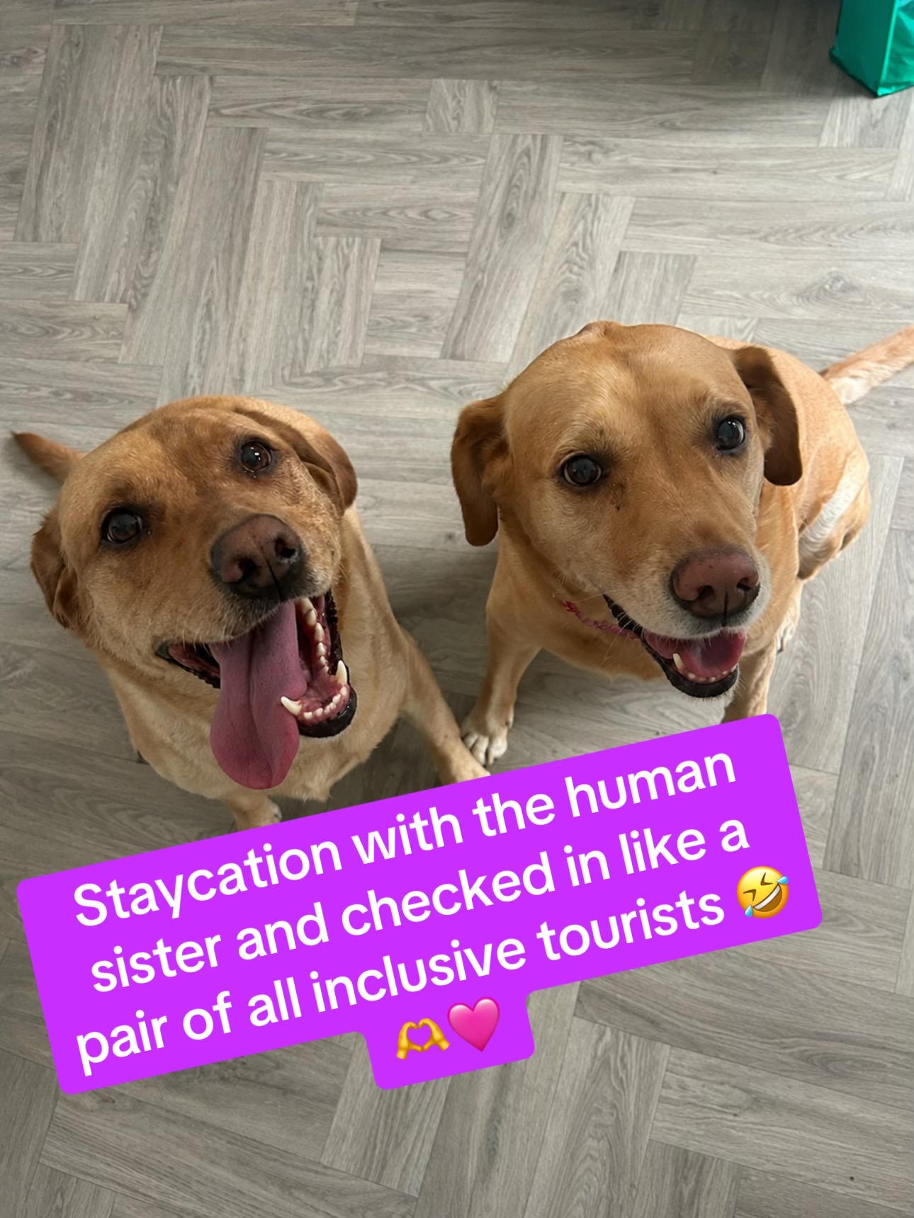 @Goldenwaggytales