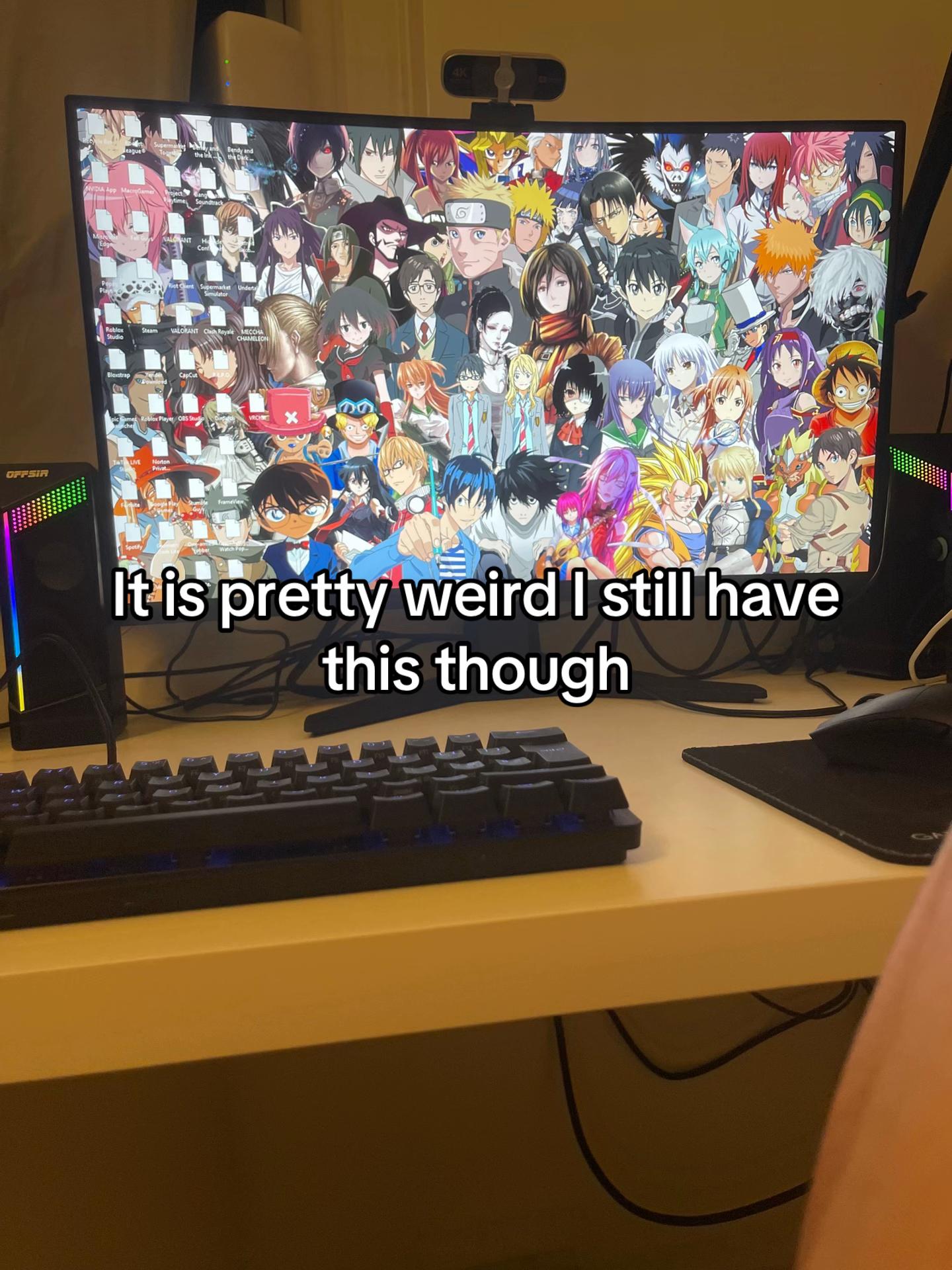 @bojackfanatic