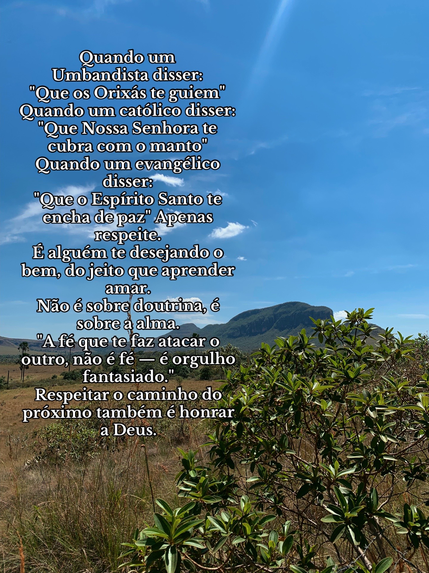 @Ana Paula Costa 🏹