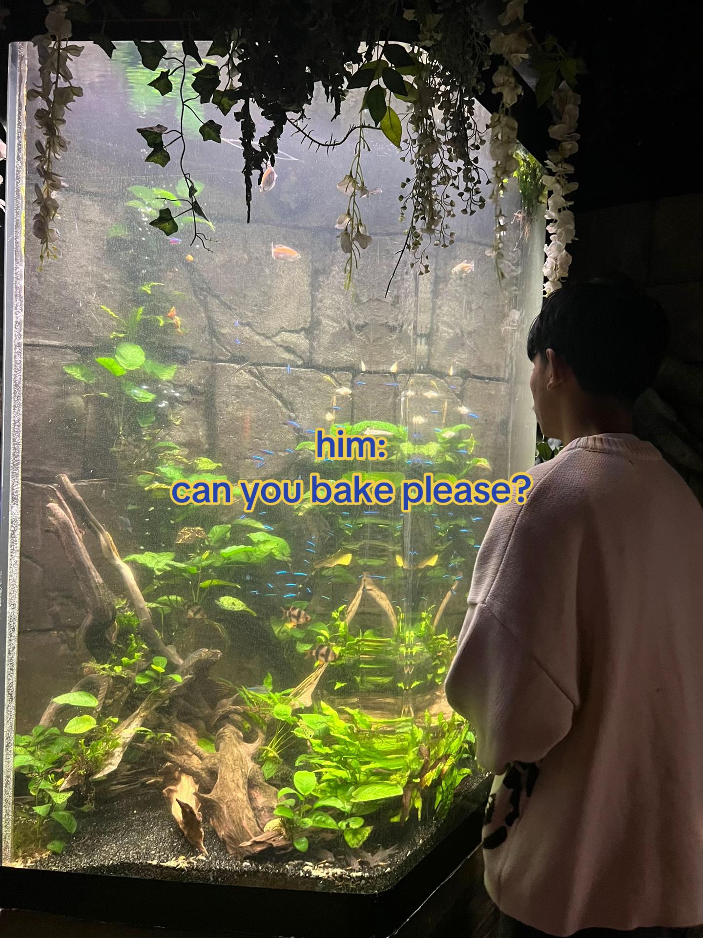 @⋆⁺₊⋆ ☾⋆⁺₊⋆