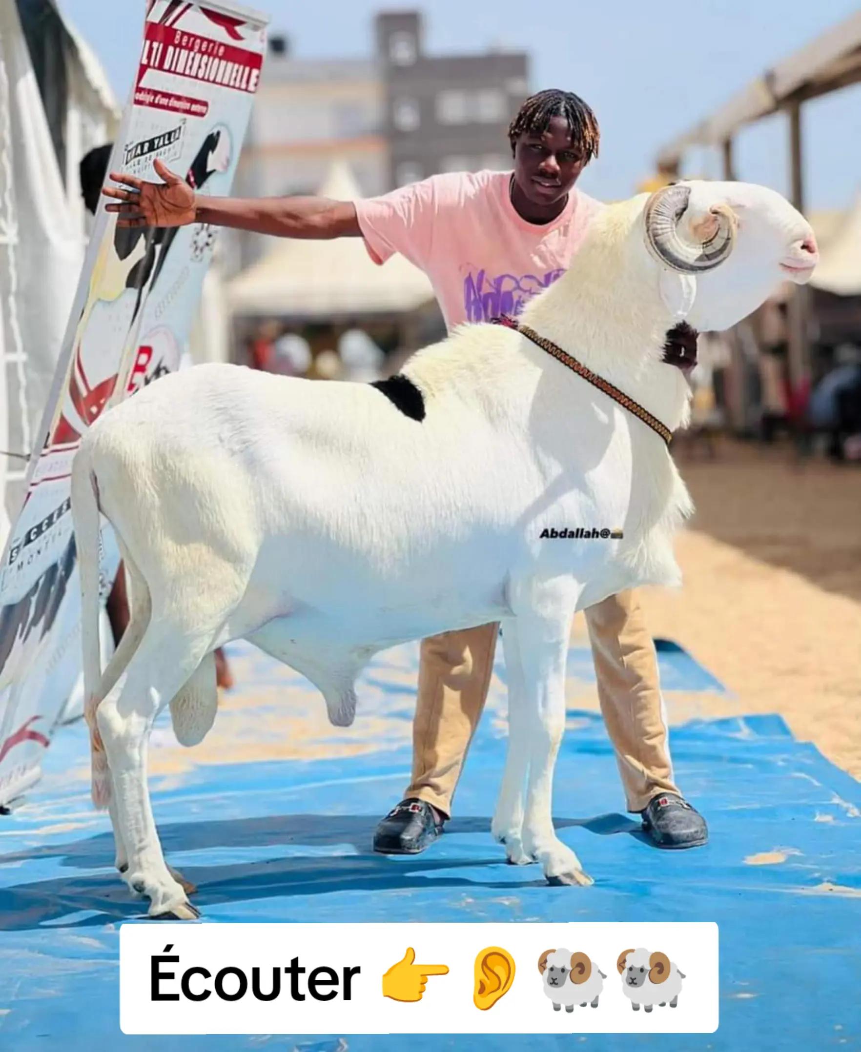 @⚔️🤲A🇲🇱E🇧🇫S🇳🇪🤲⚔️