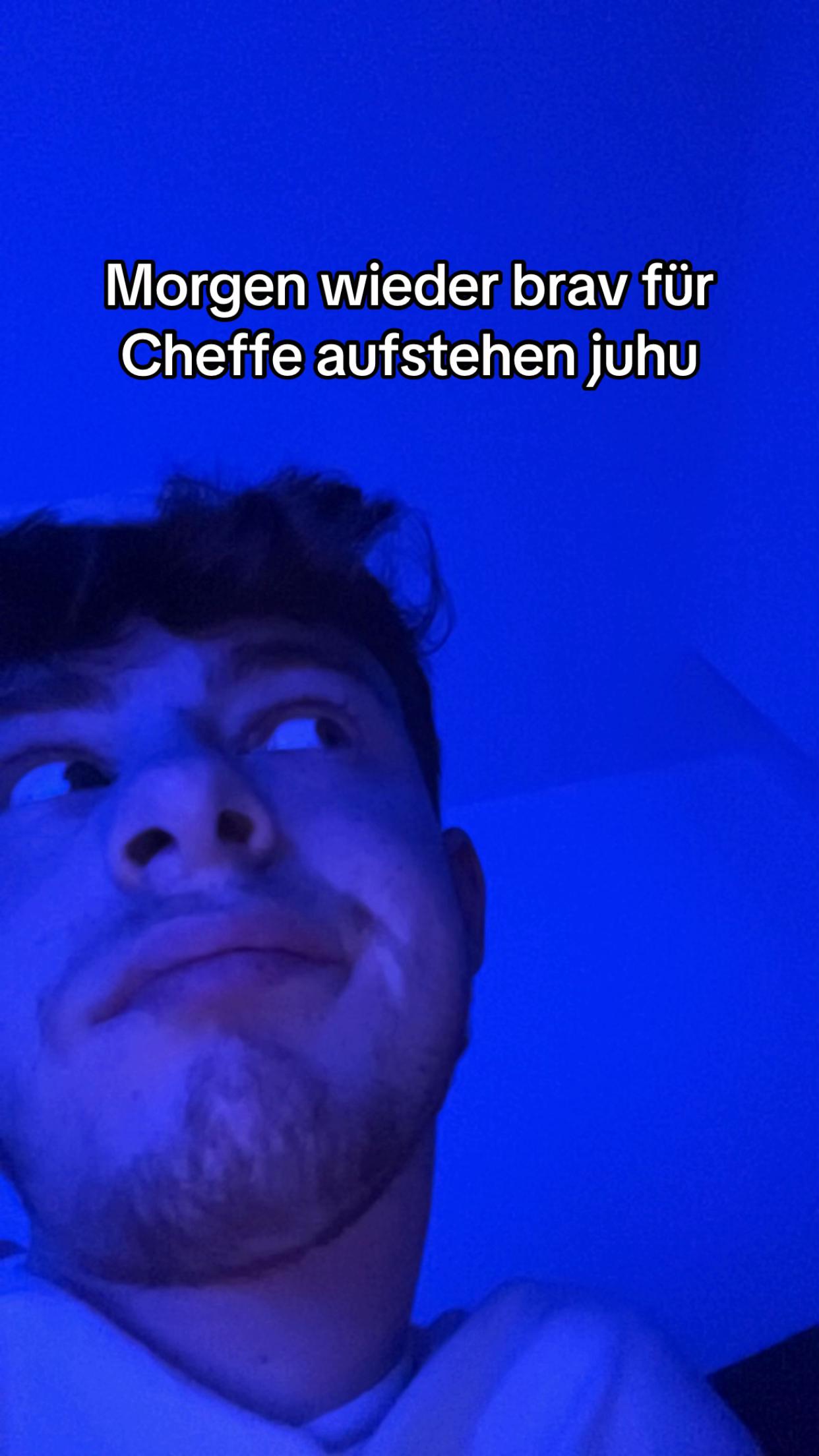 @dimi_Ginger