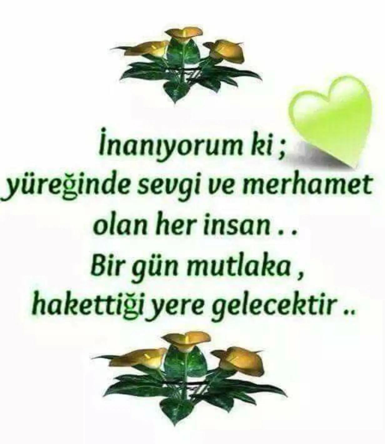 @karadayı