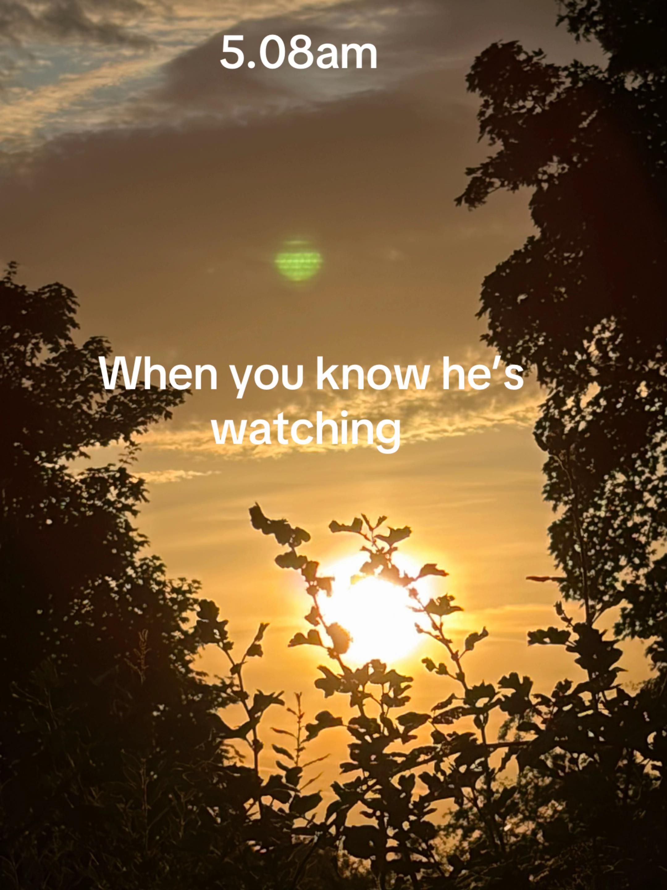@Christine Sinnott