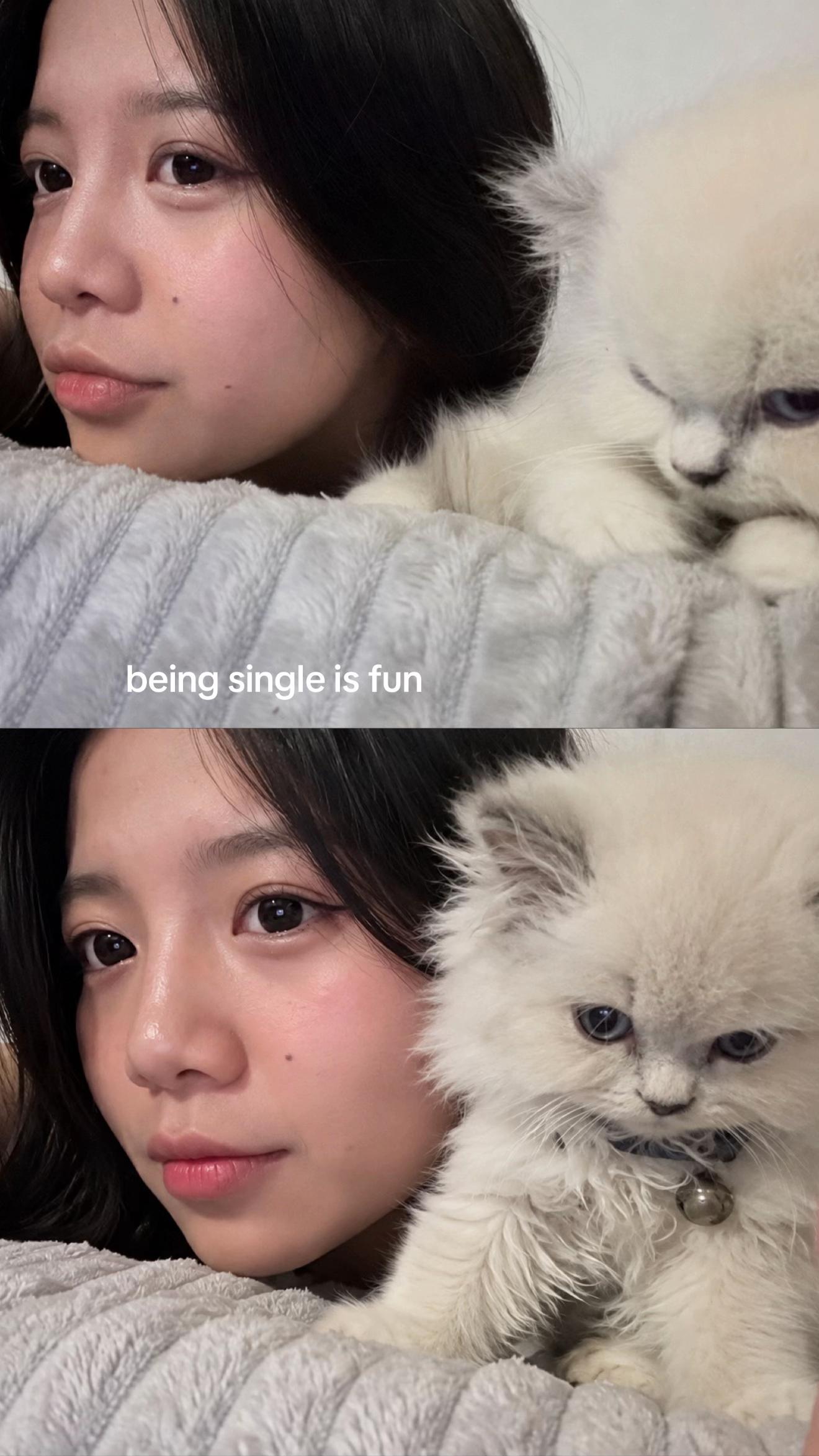 @Linzy🐈⬛⚰️