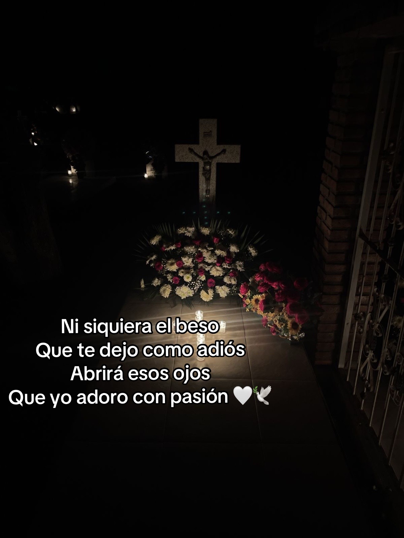@Grace🎀