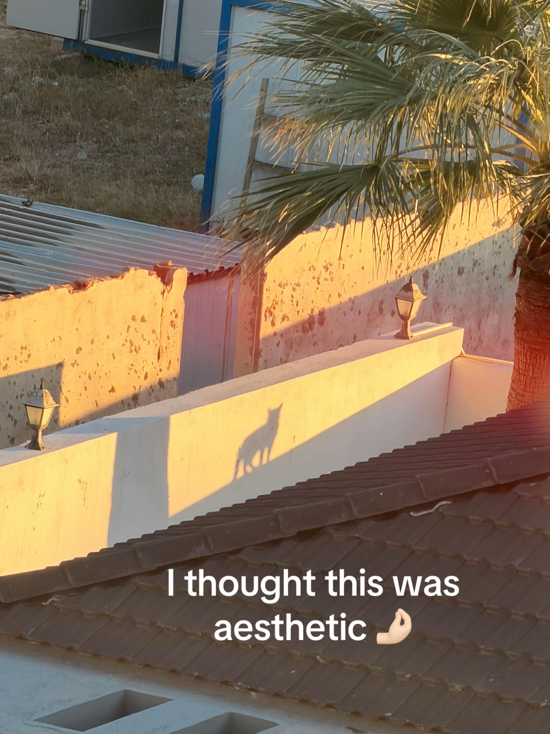 @E l a